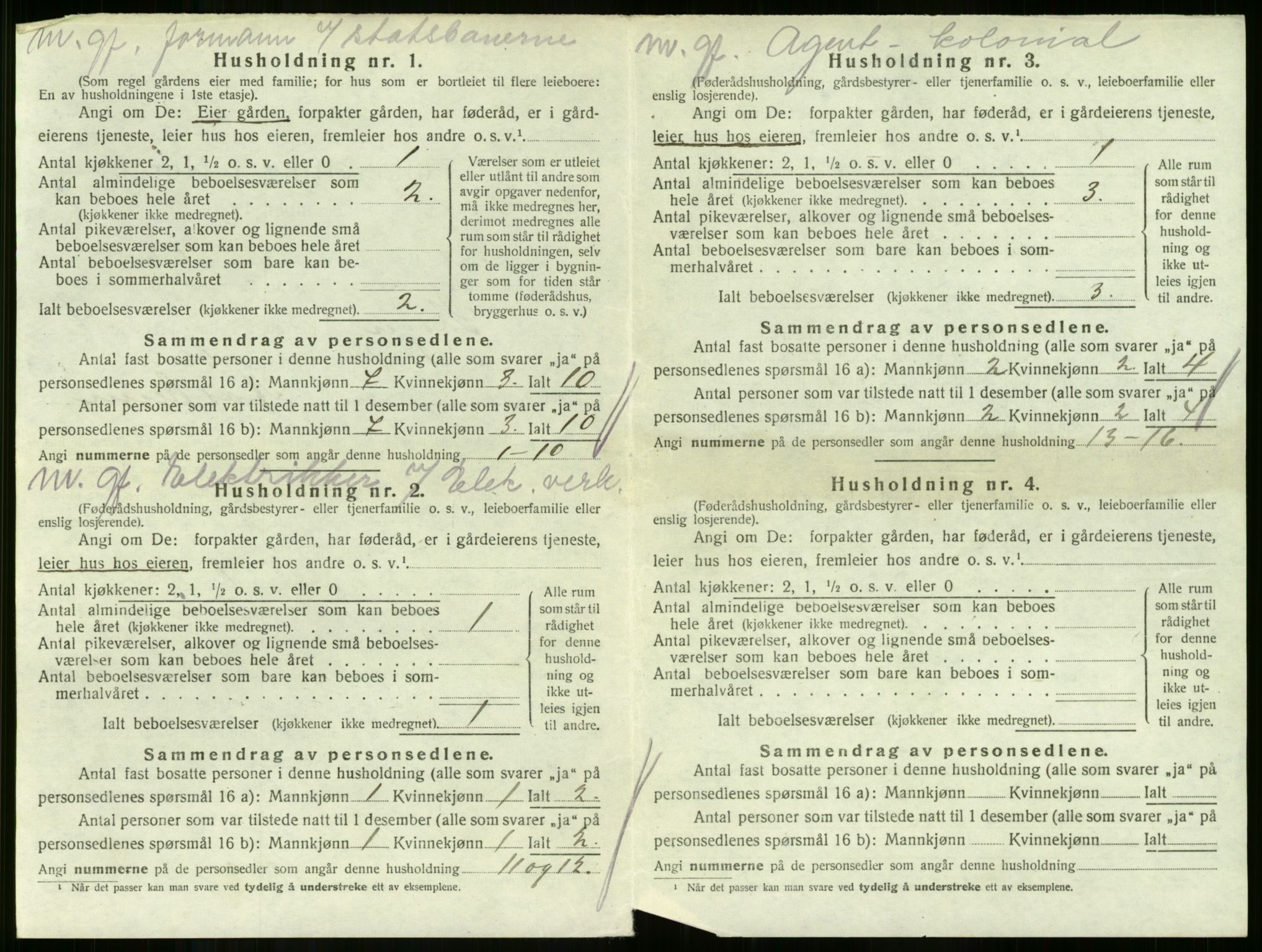 SAKO, 1920 census for Skoger, 1920, p. 1005