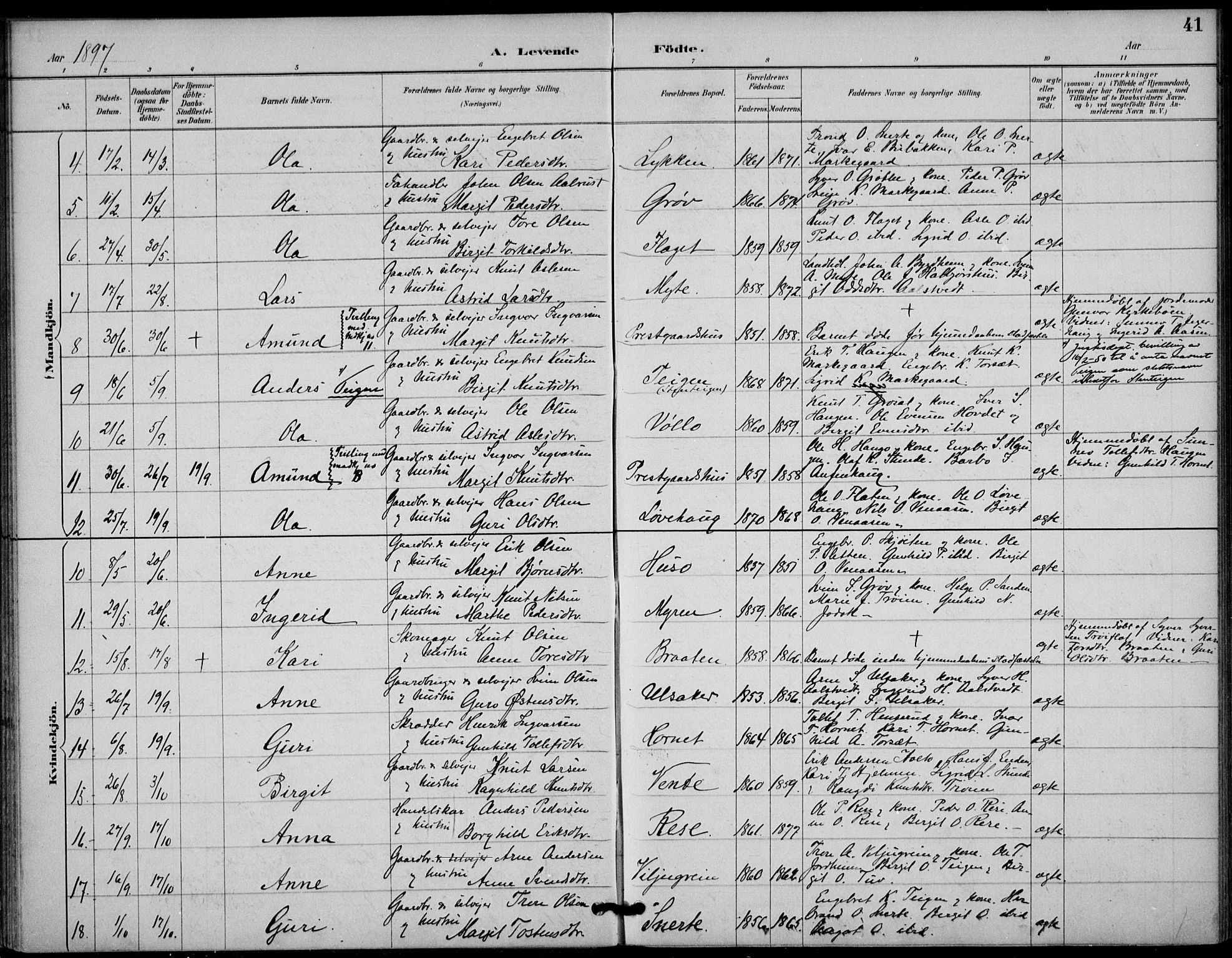 Gol kirkebøker, AV/SAKO-A-226/F/Fb/L0001: Parish register (official) no. II 1, 1887-1900, p. 41