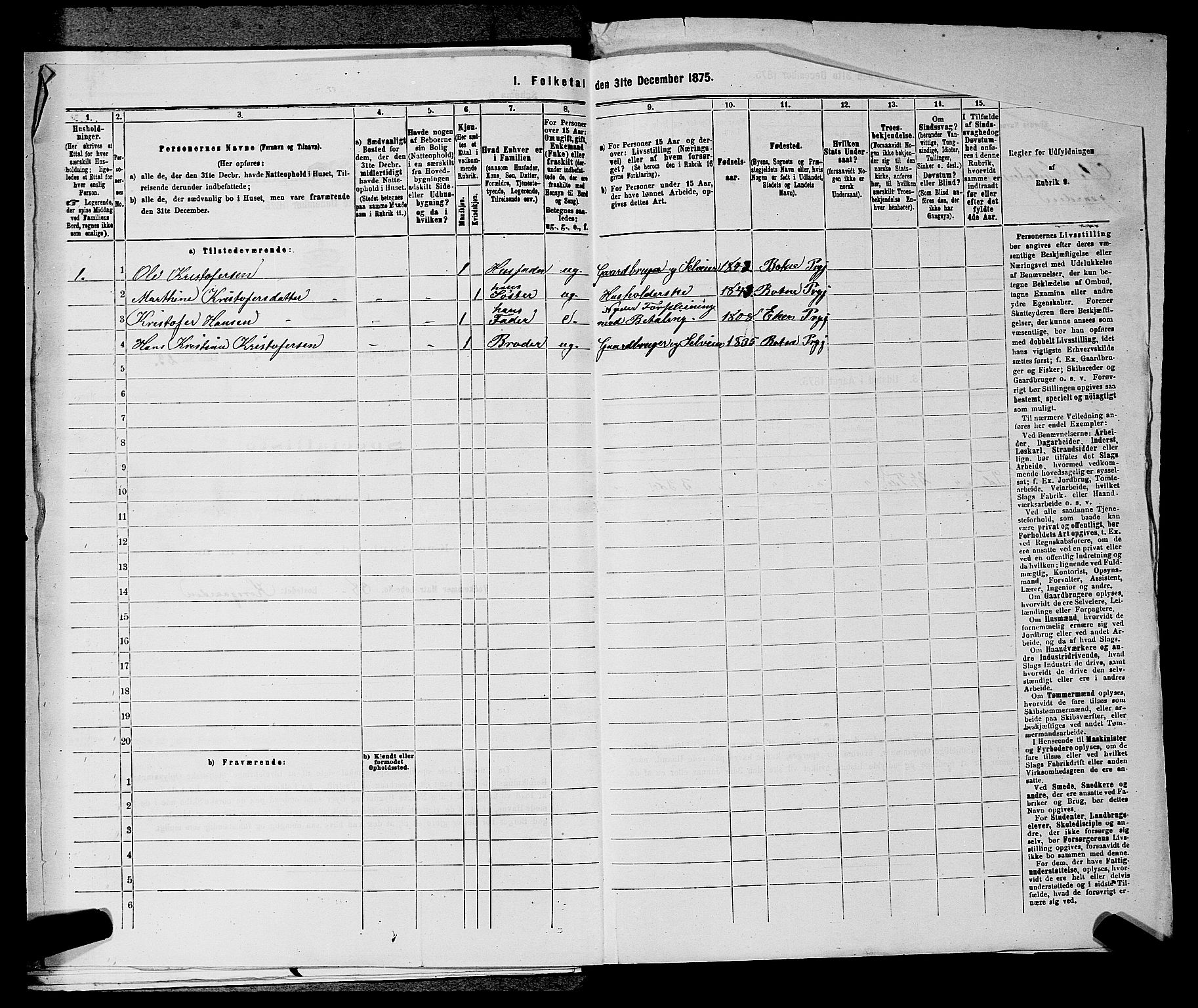 SAKO, 1875 census for 0715P Botne, 1875, p. 205