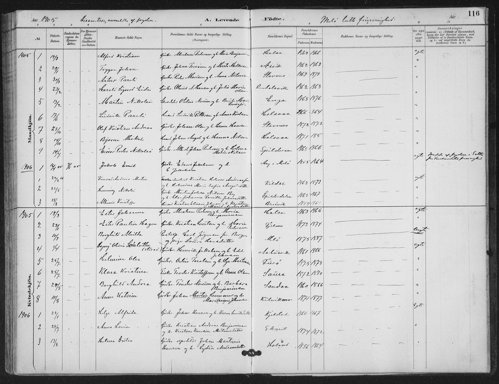 Ministerialprotokoller, klokkerbøker og fødselsregistre - Nordland, SAT/A-1459/843/L0628: Parish register (official) no. 843A03, 1889-1907, p. 116