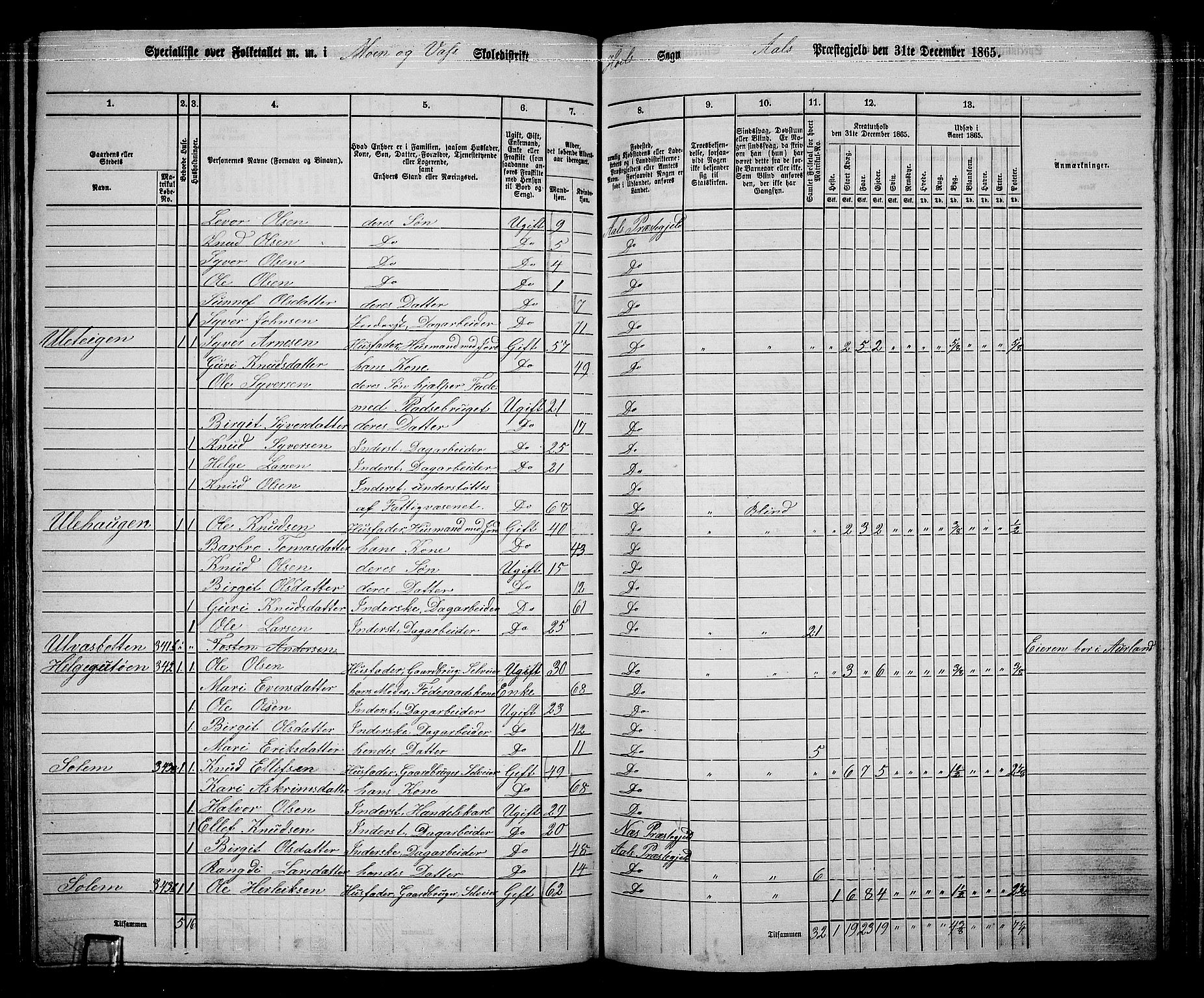 RA, 1865 census for Ål, 1865, p. 171