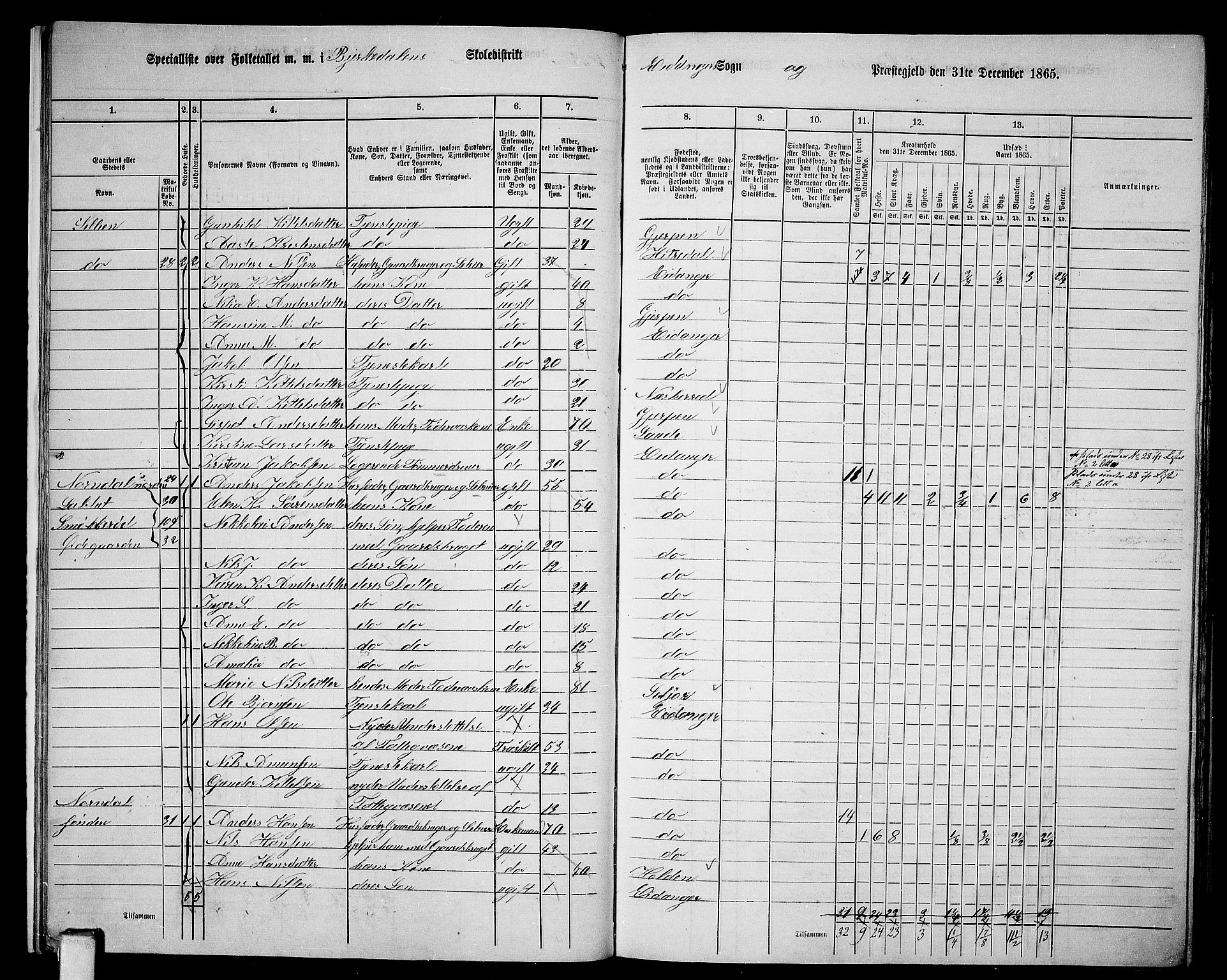 RA, 1865 census for Eidanger, 1865, p. 18