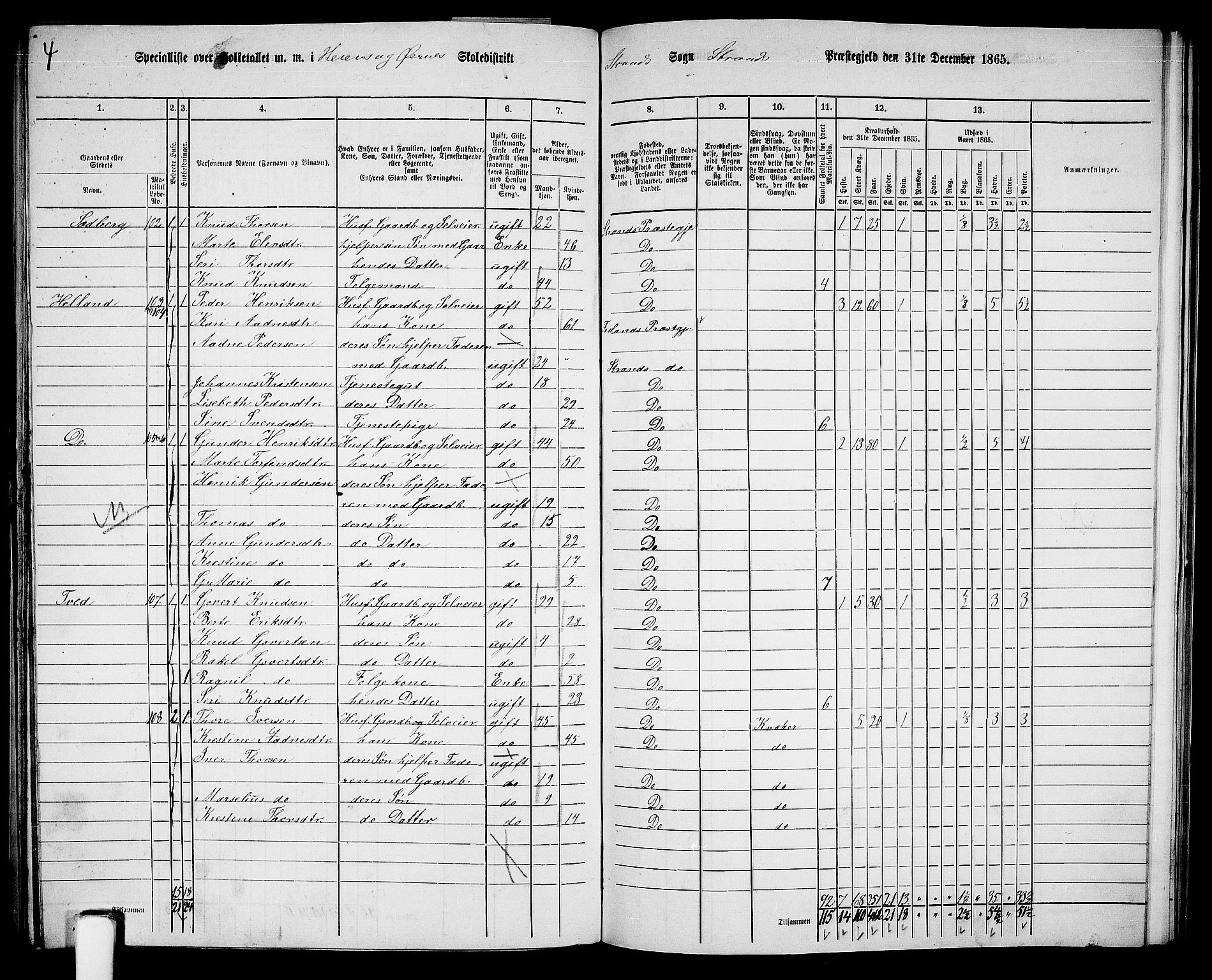 RA, 1865 census for Strand, 1865, p. 60