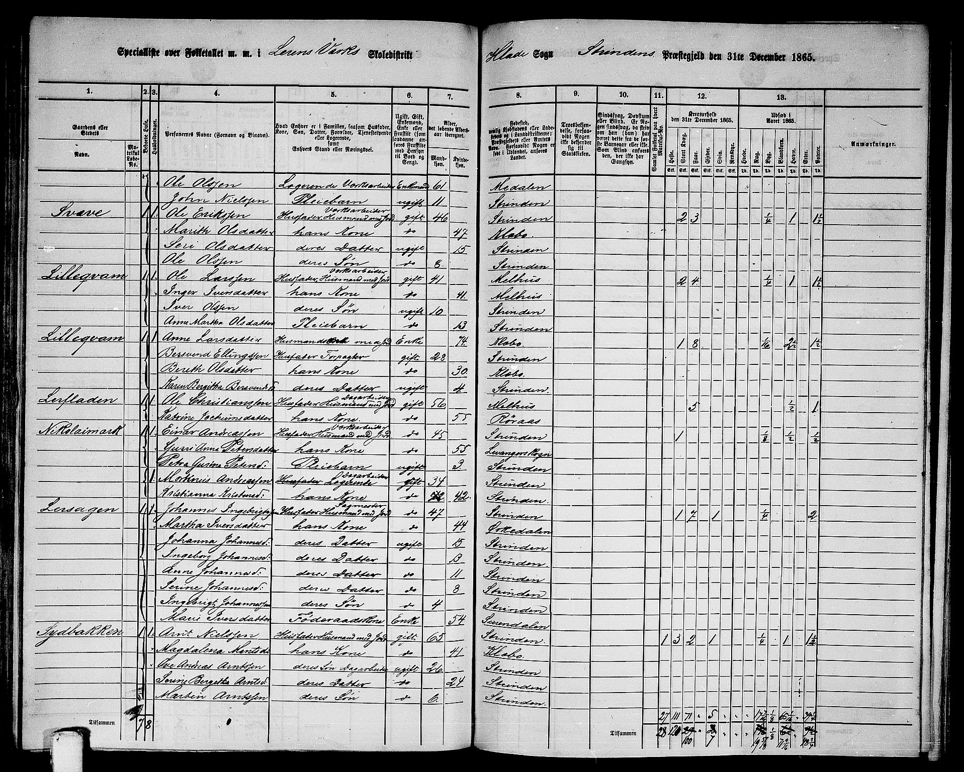 RA, 1865 census for Strinda, 1865, p. 139