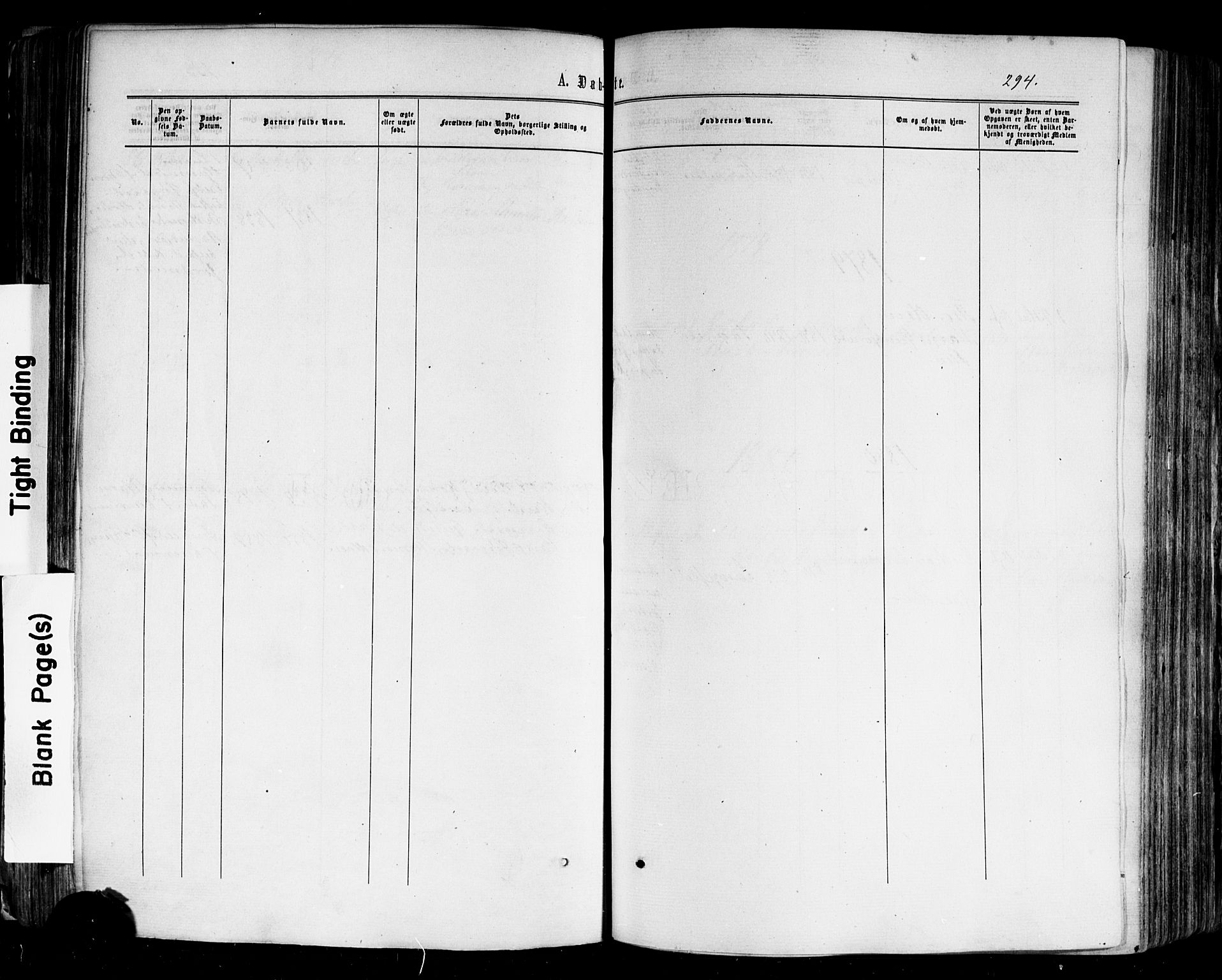 Nes kirkebøker, SAKO/A-236/F/Fa/L0010: Parish register (official) no. 10, 1864-1880, p. 294