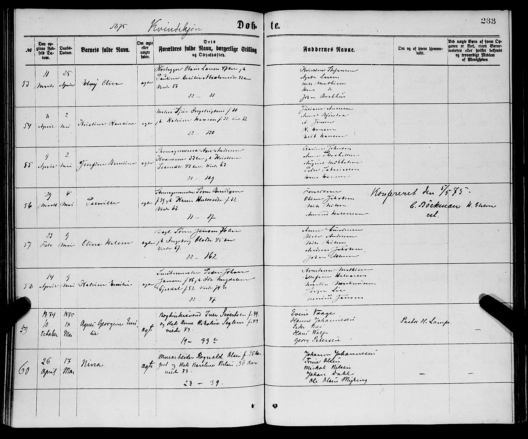 Korskirken sokneprestembete, AV/SAB-A-76101/H/Haa/L0020: Parish register (official) no. B 6, 1871-1878, p. 233