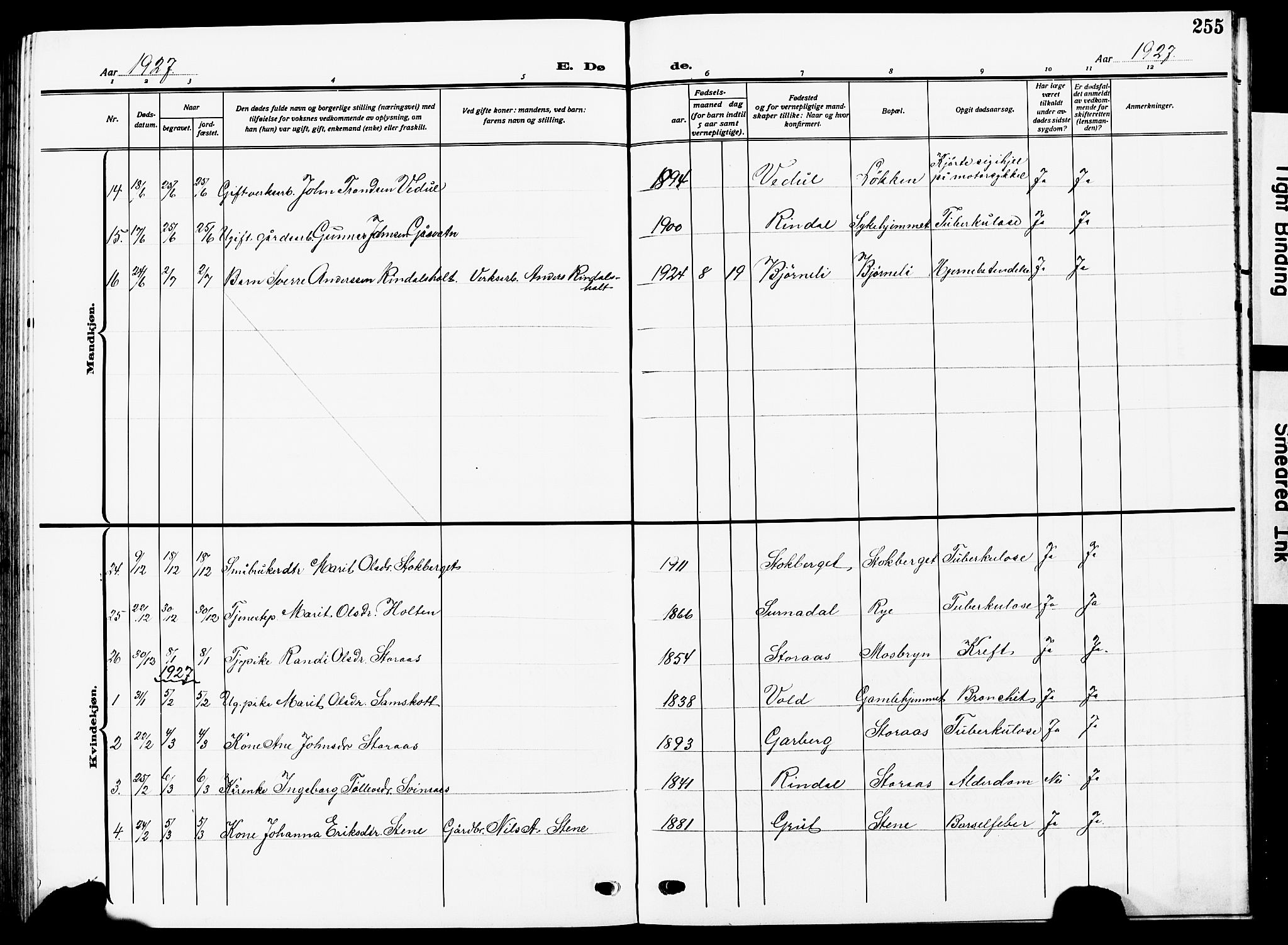 Ministerialprotokoller, klokkerbøker og fødselsregistre - Sør-Trøndelag, SAT/A-1456/672/L0865: Parish register (copy) no. 672C04, 1914-1928, p. 255