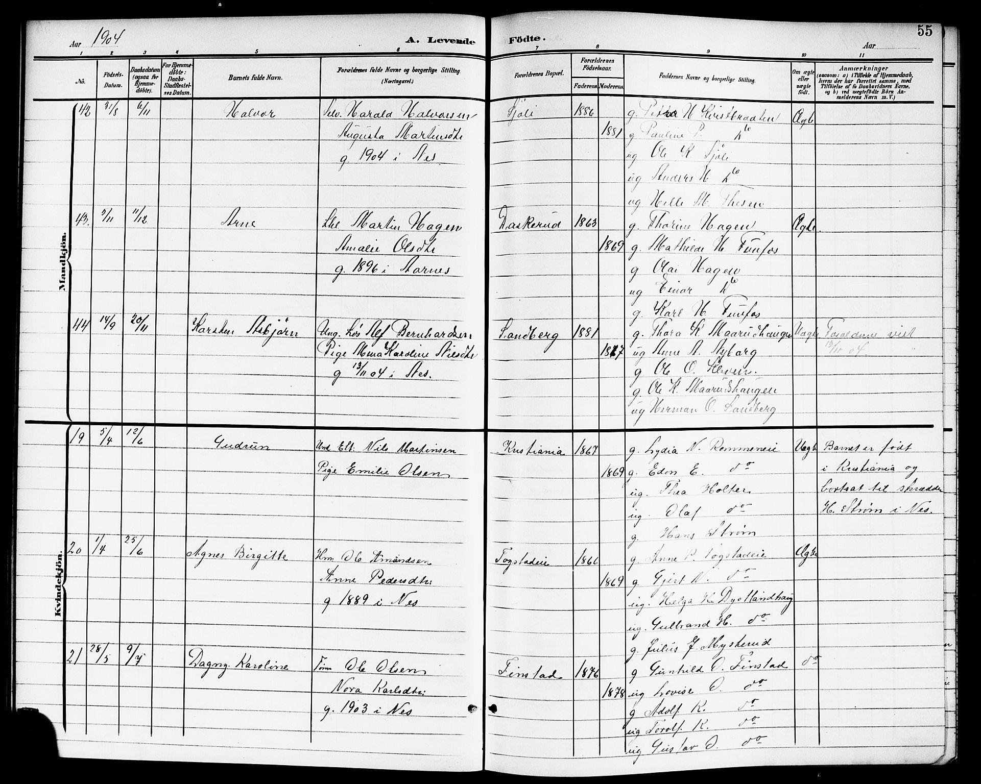 Nes prestekontor Kirkebøker, AV/SAO-A-10410/G/Ga/L0002: Parish register (copy) no. I 2, 1901-1912, p. 55