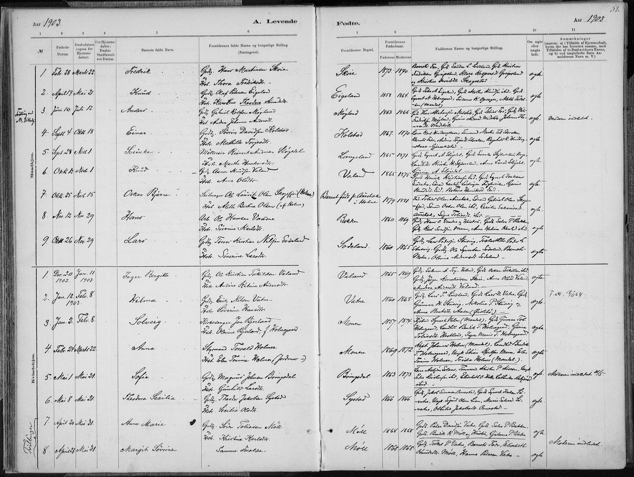 Holum sokneprestkontor, SAK/1111-0022/F/Fa/Faa/L0007: Parish register (official) no. A 7, 1884-1907, p. 52
