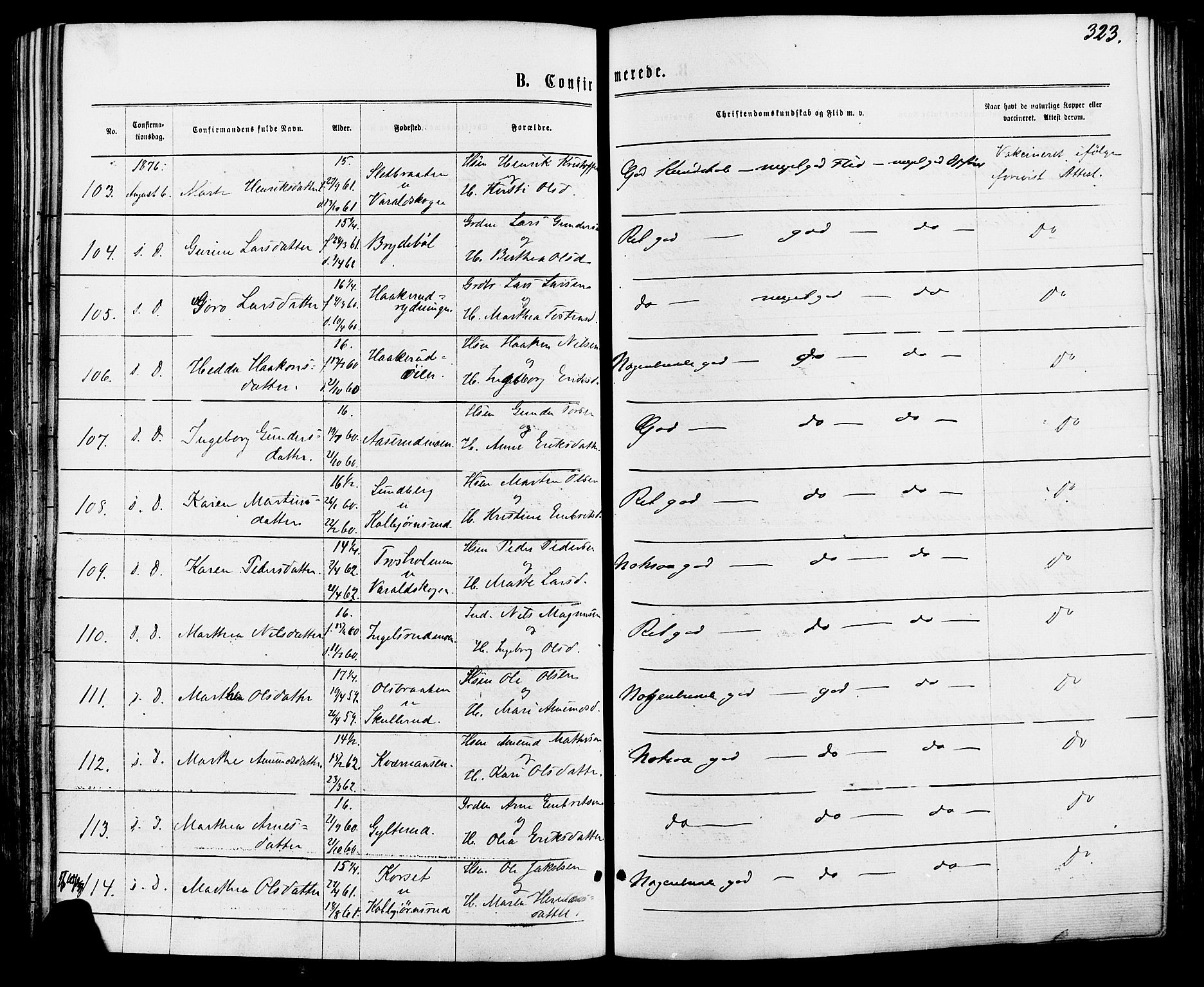 Vinger prestekontor, AV/SAH-PREST-024/H/Ha/Haa/L0012: Parish register (official) no. 12, 1871-1880, p. 323