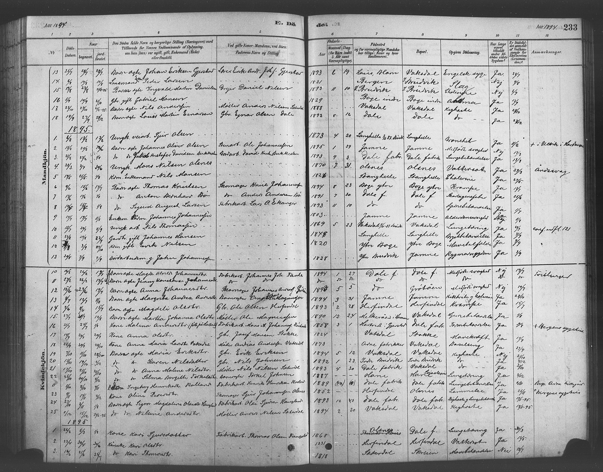 Bruvik Sokneprestembete, SAB/A-74701/H/Hab: Parish register (copy) no. A 1, 1878-1907, p. 233