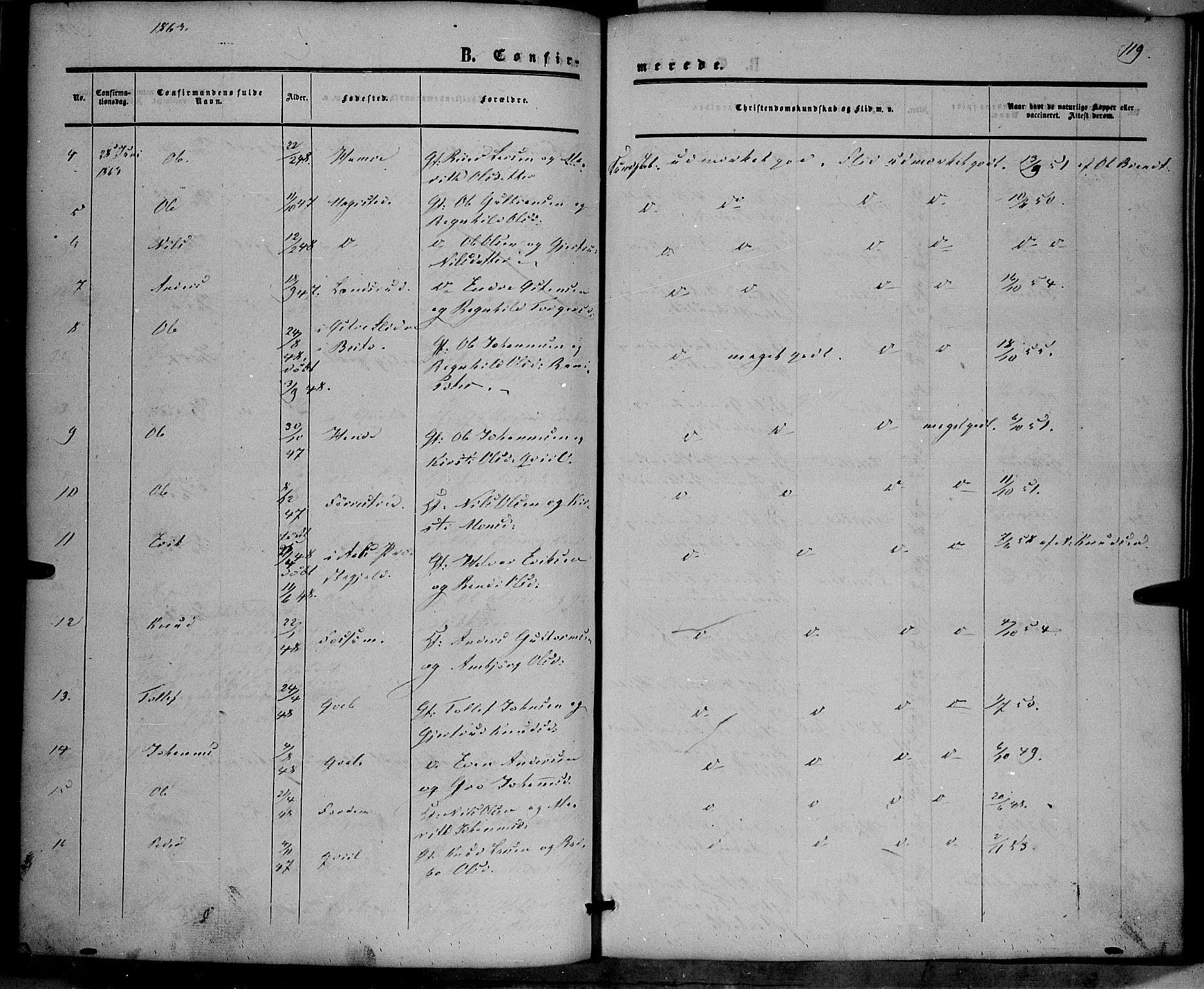 Vestre Slidre prestekontor, SAH/PREST-136/H/Ha/Haa/L0002: Parish register (official) no. 2, 1856-1864, p. 119