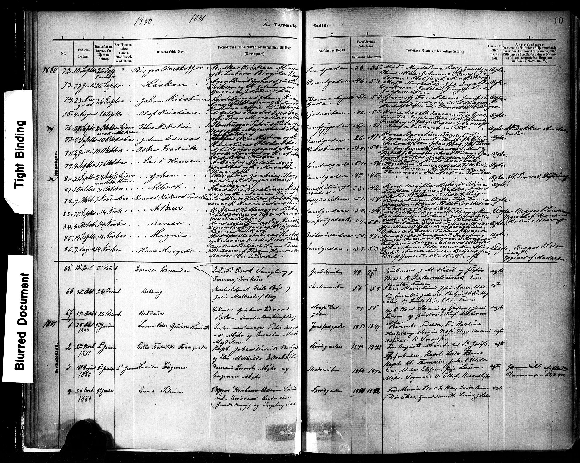 Ministerialprotokoller, klokkerbøker og fødselsregistre - Sør-Trøndelag, SAT/A-1456/602/L0119: Parish register (official) no. 602A17, 1880-1901, p. 10