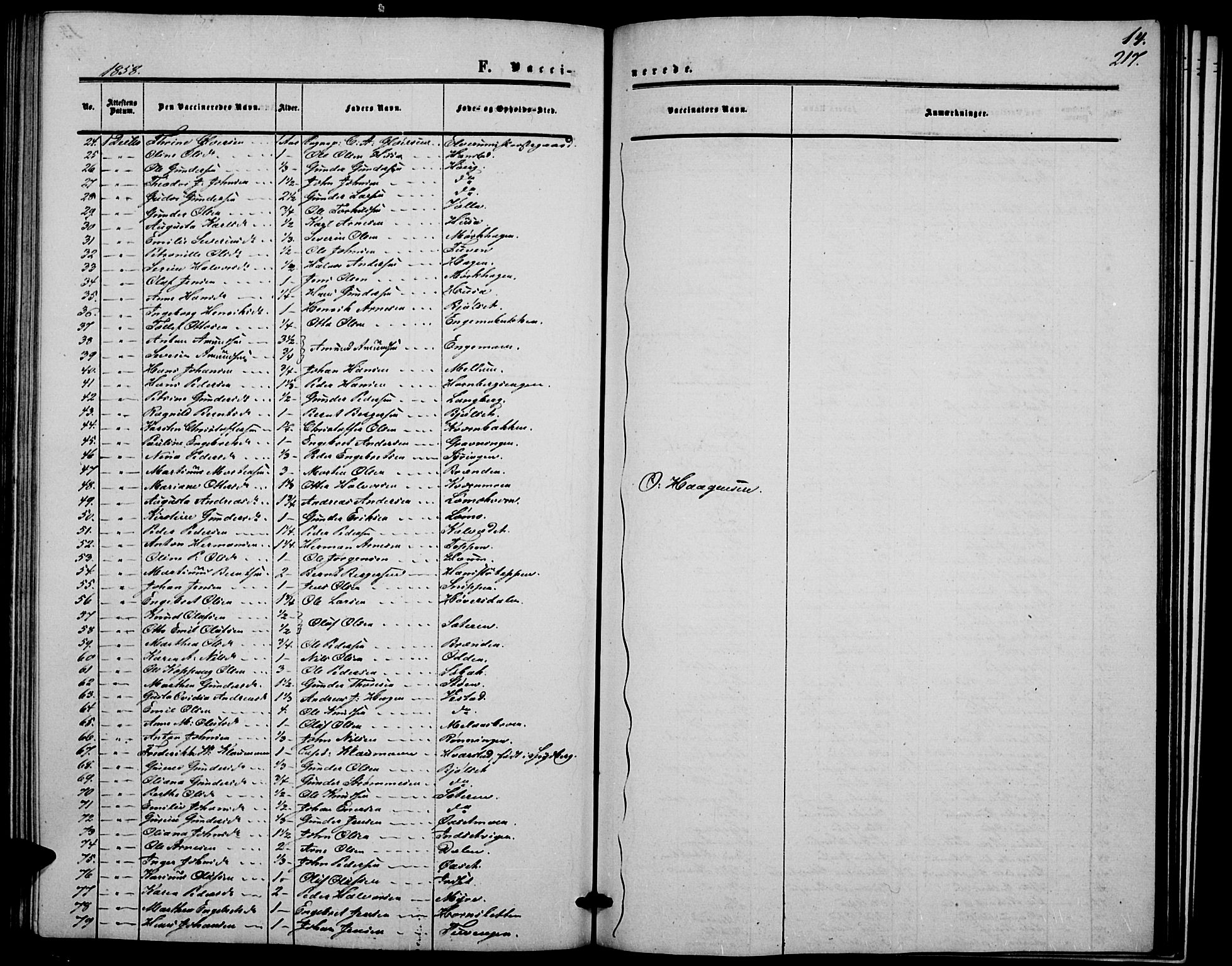 Elverum prestekontor, AV/SAH-PREST-044/H/Ha/Hab/L0003: Parish register (copy) no. 3, 1856-1865, p. 217