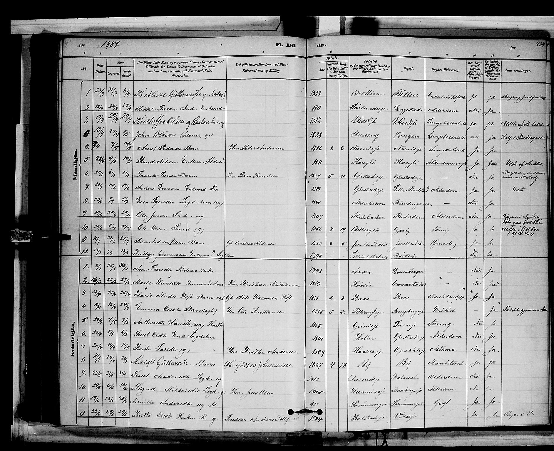 Ringsaker prestekontor, AV/SAH-PREST-014/L/La/L0011: Parish register (copy) no. 11, 1879-1890, p. 204