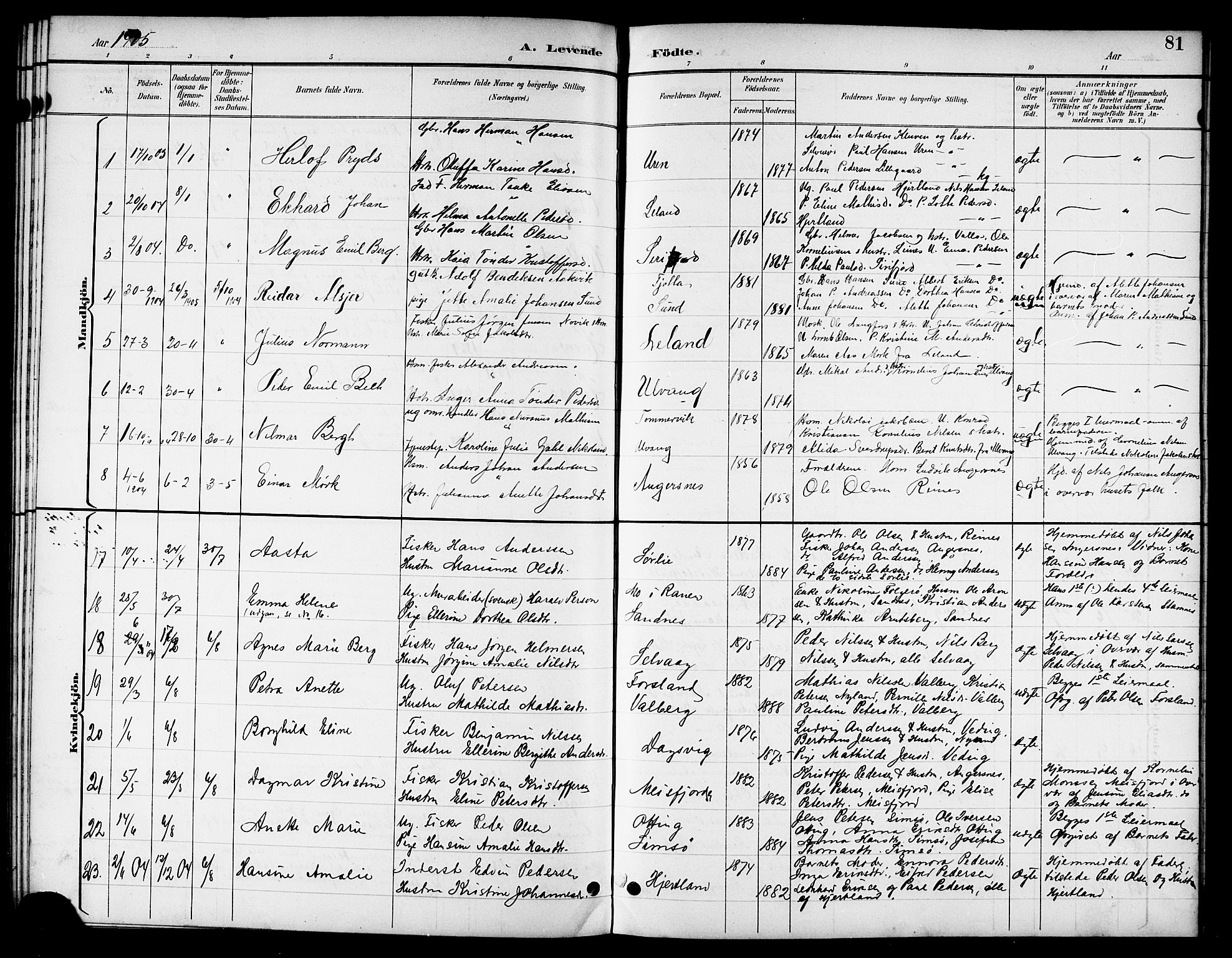 Ministerialprotokoller, klokkerbøker og fødselsregistre - Nordland, SAT/A-1459/831/L0478: Parish register (copy) no. 831C05, 1892-1909, p. 81