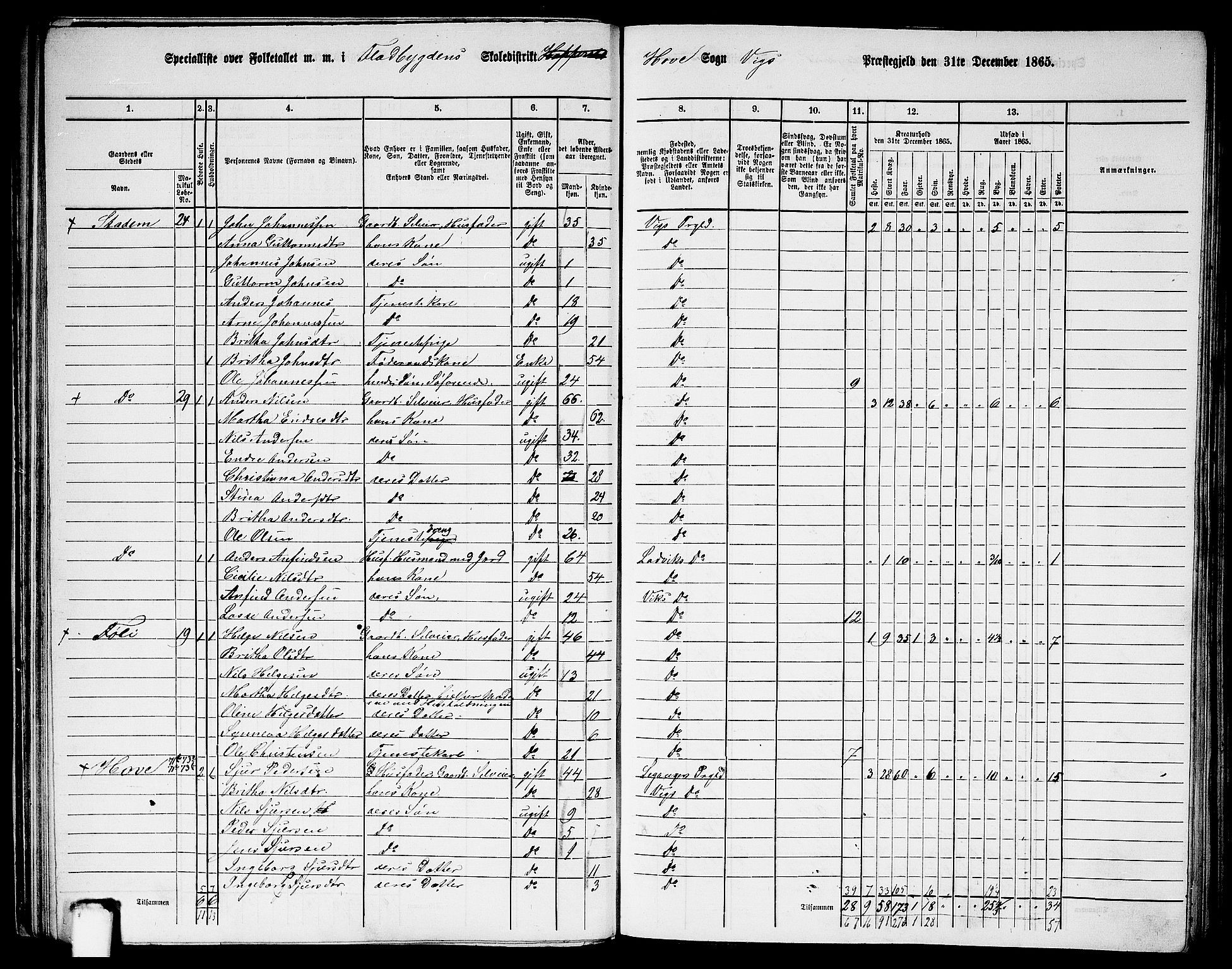 RA, 1865 census for Vik, 1865, p. 46