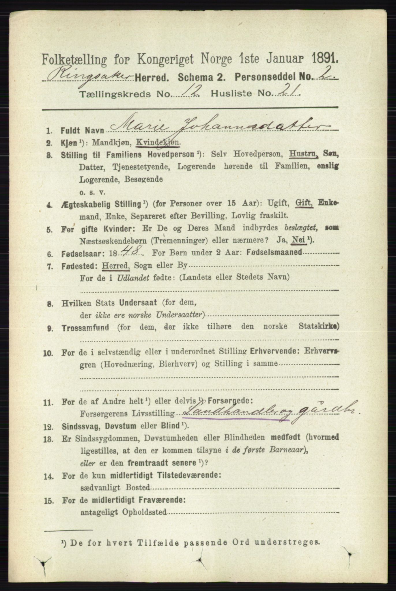 RA, 1891 census for 0412 Ringsaker, 1891, p. 6858