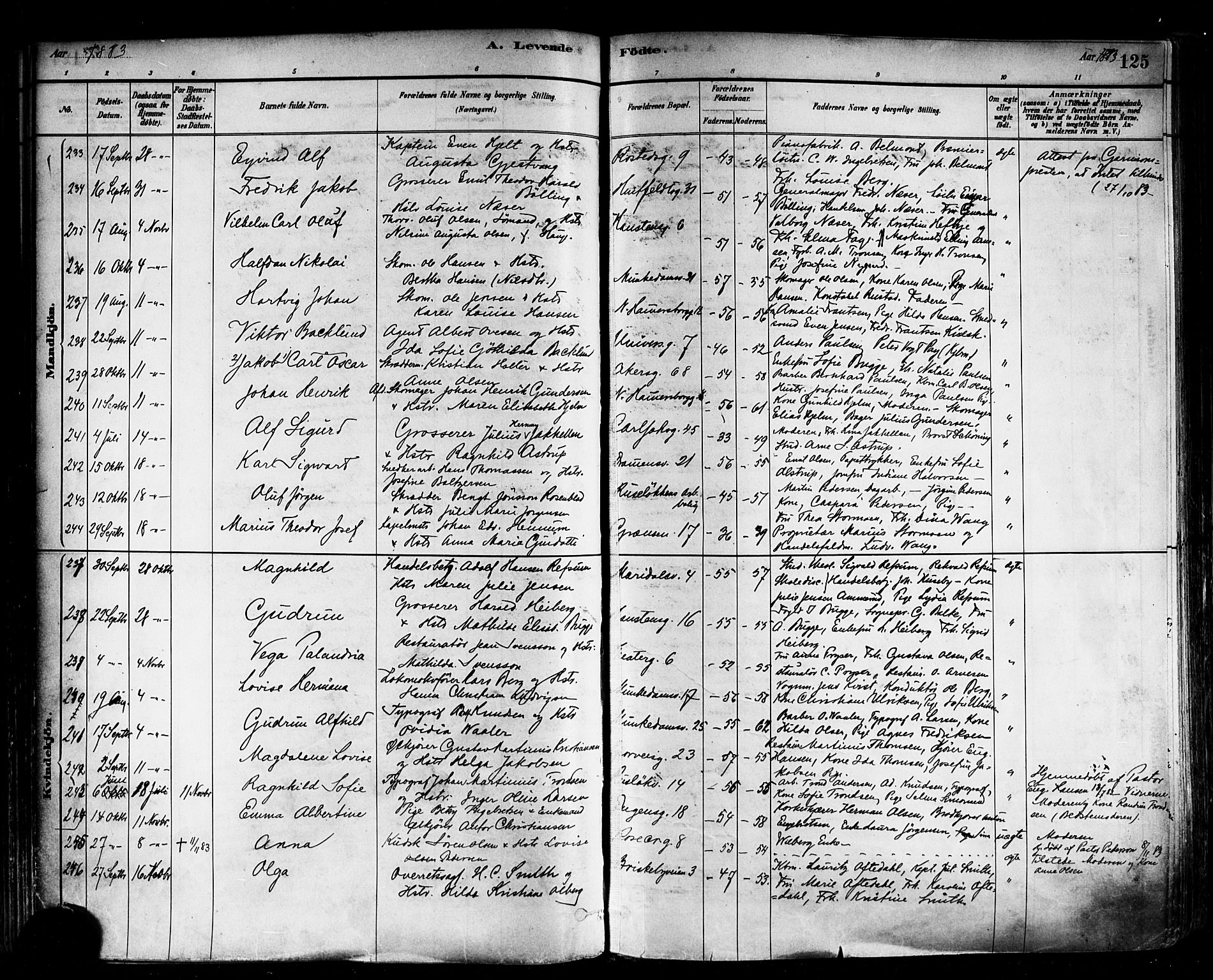 Trefoldighet prestekontor Kirkebøker, SAO/A-10882/F/Fa/L0005: Parish register (official) no. I 5, 1881-1891, p. 125