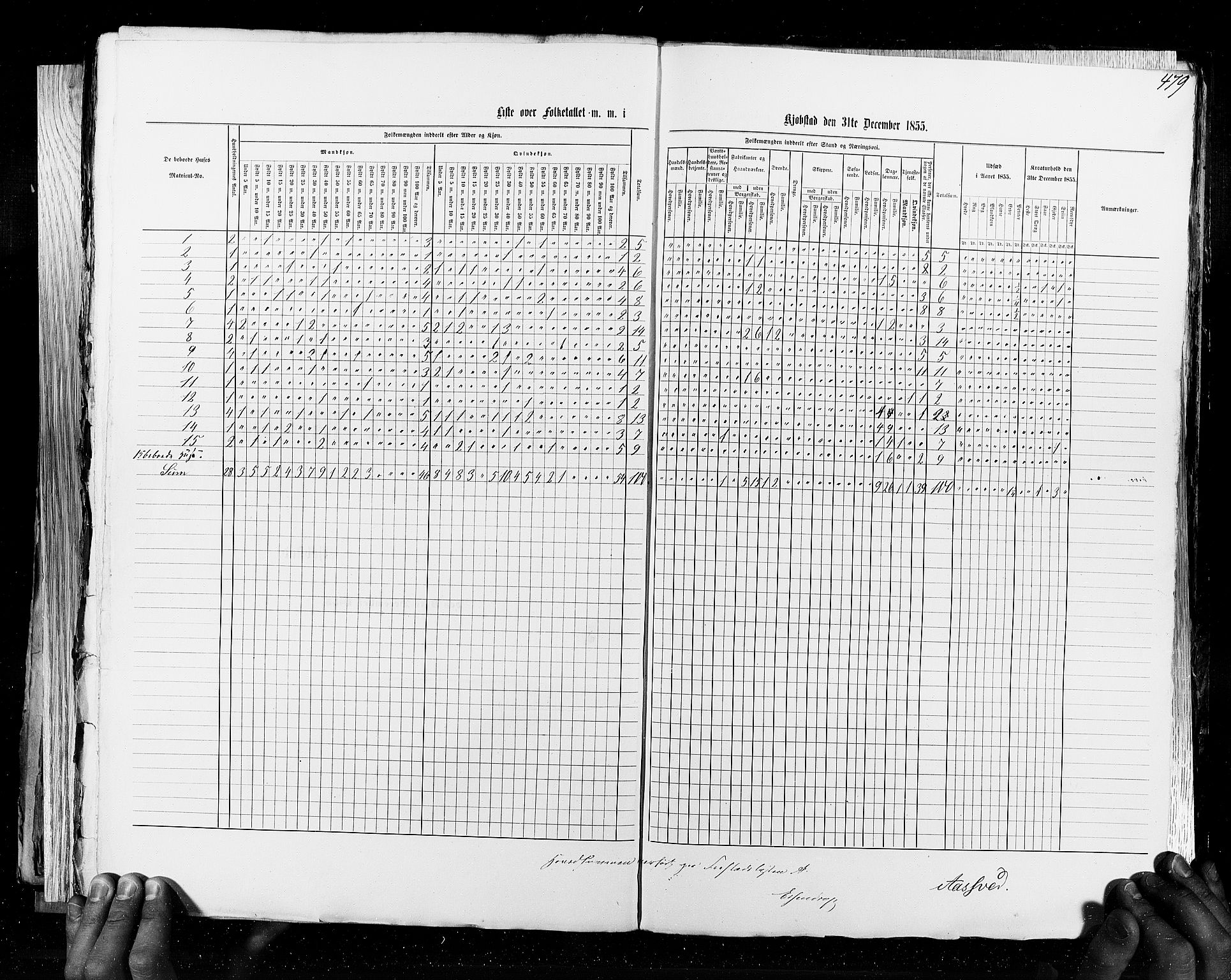 RA, Census 1855, vol. 8: Risør-Vadsø, 1855, p. 479