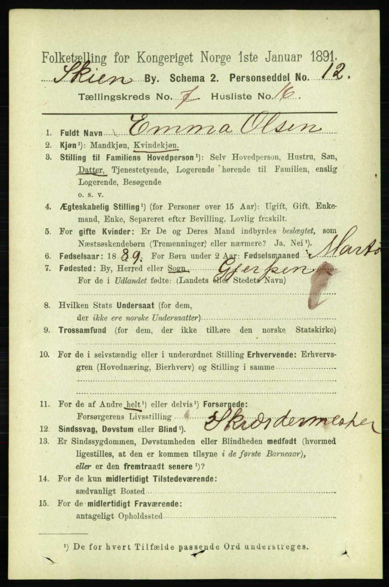 RA, 1891 census for 0806 Skien, 1891, p. 3263