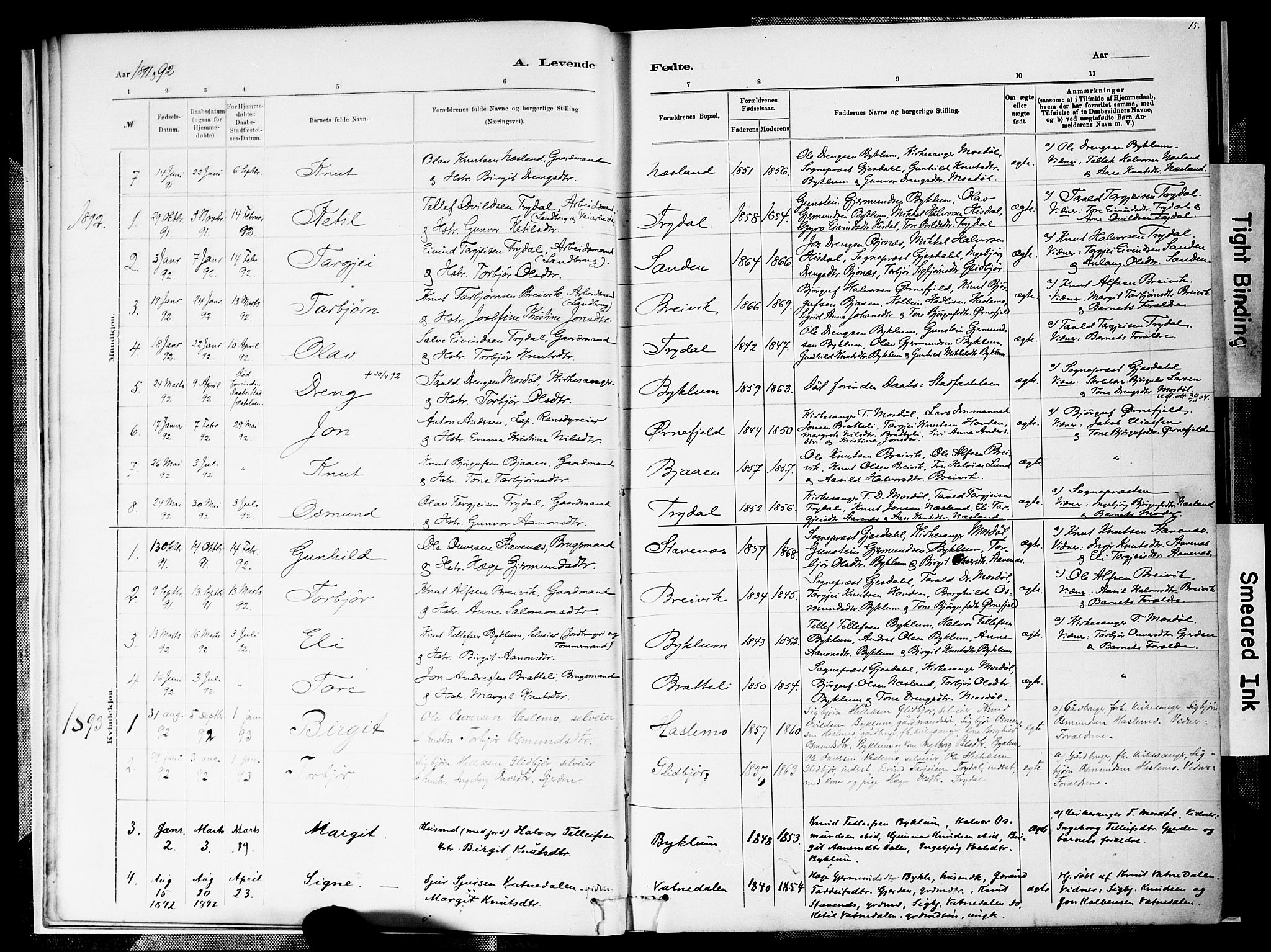 Valle sokneprestkontor, SAK/1111-0044/F/Fa/Faa/L0001: Parish register (official) no. A 1, 1882-1907, p. 15