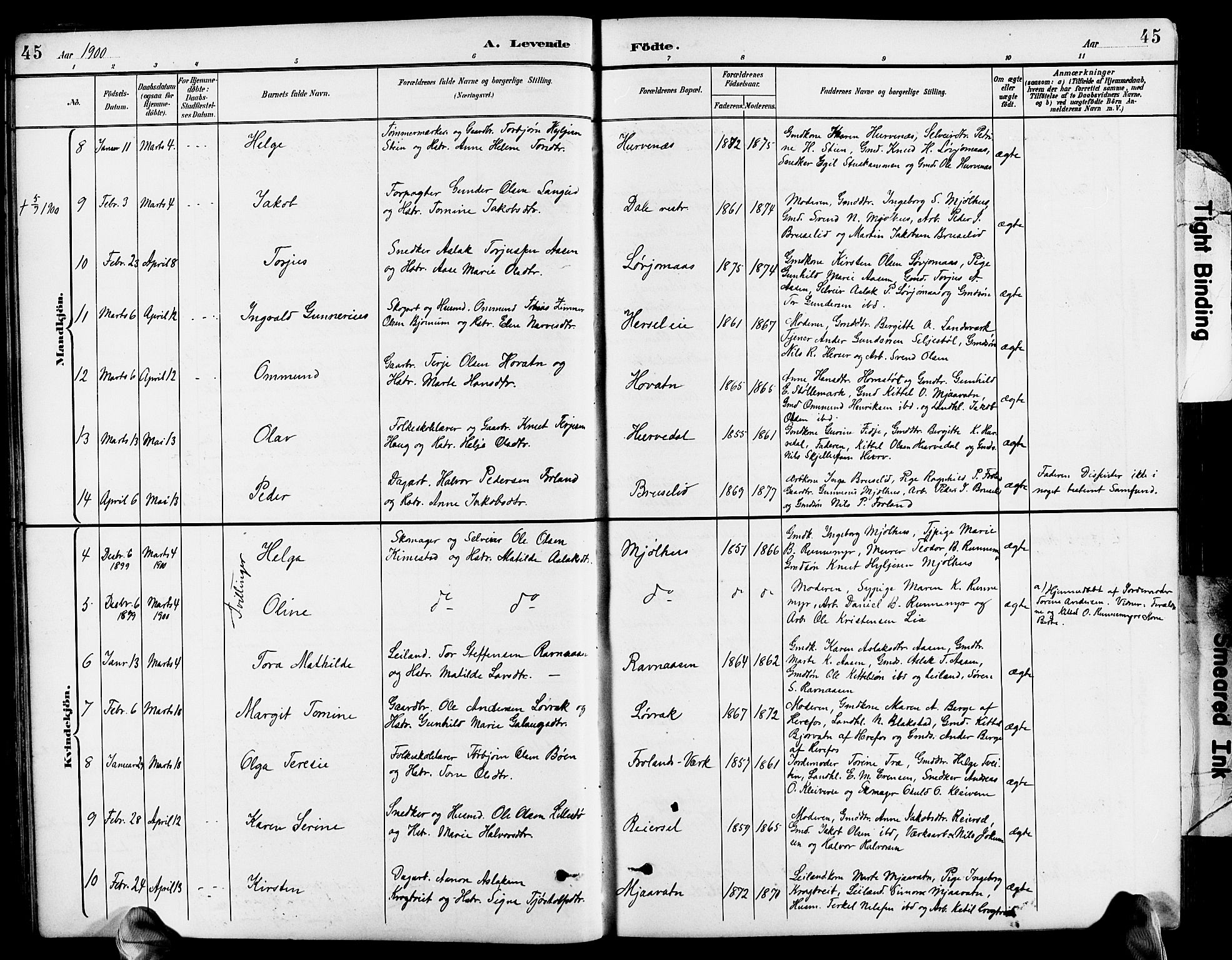 Froland sokneprestkontor, AV/SAK-1111-0013/F/Fb/L0010: Parish register (copy) no. B 10, 1893-1920, p. 45