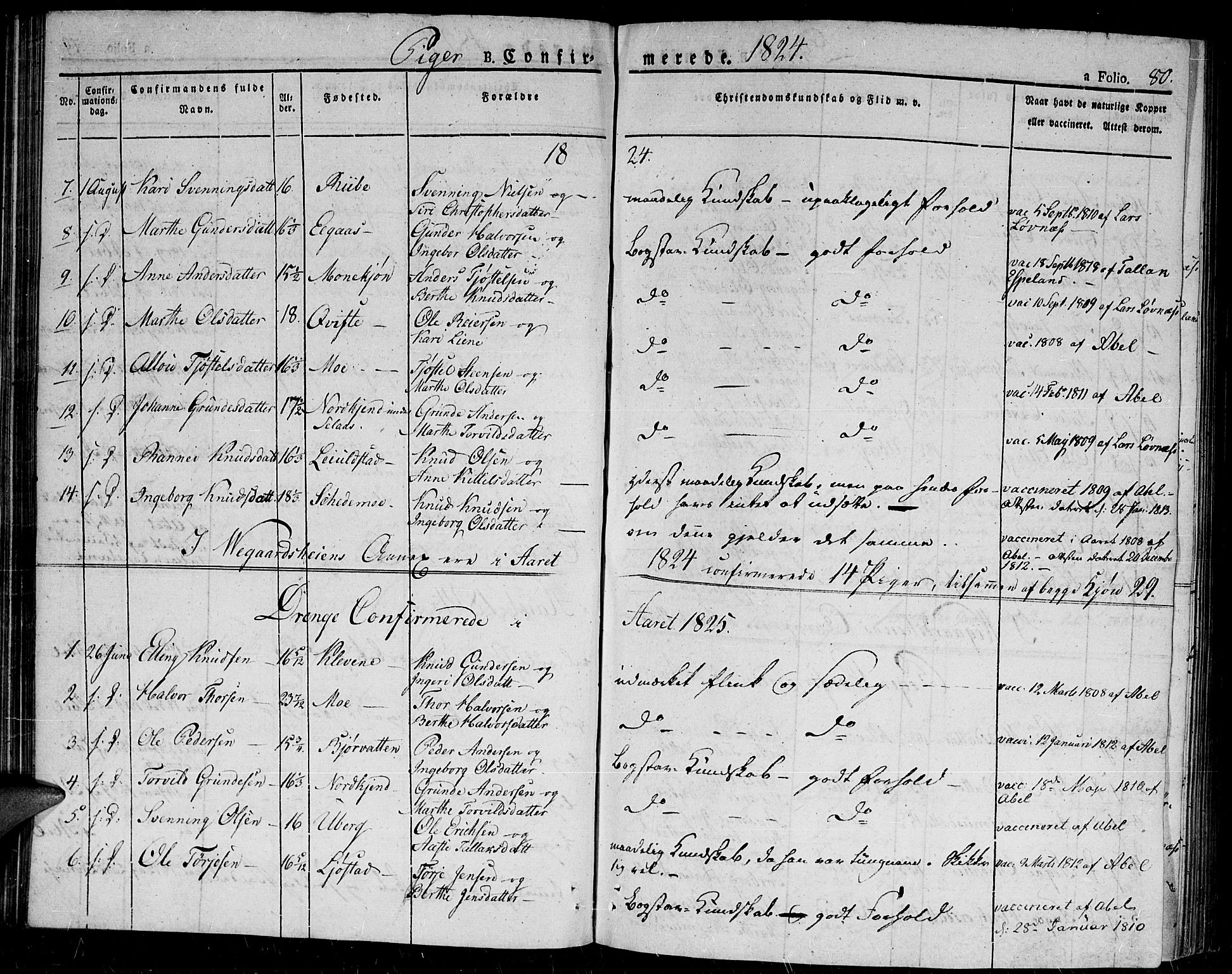 Gjerstad sokneprestkontor, AV/SAK-1111-0014/F/Fa/Fab/L0001: Parish register (official) no. A 1, 1820-1835, p. 80