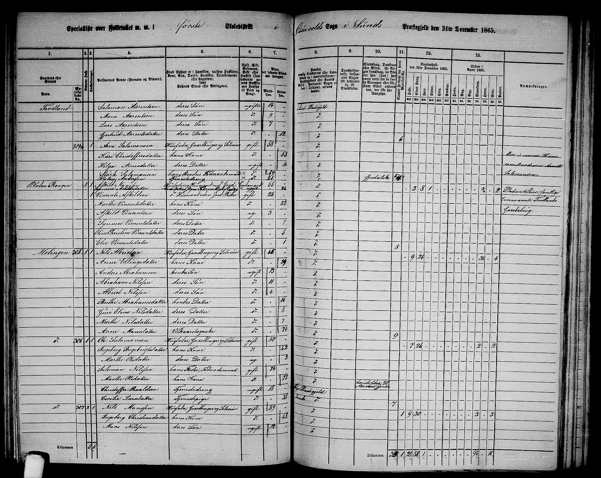 RA, 1865 census for Sund, 1865, p. 102