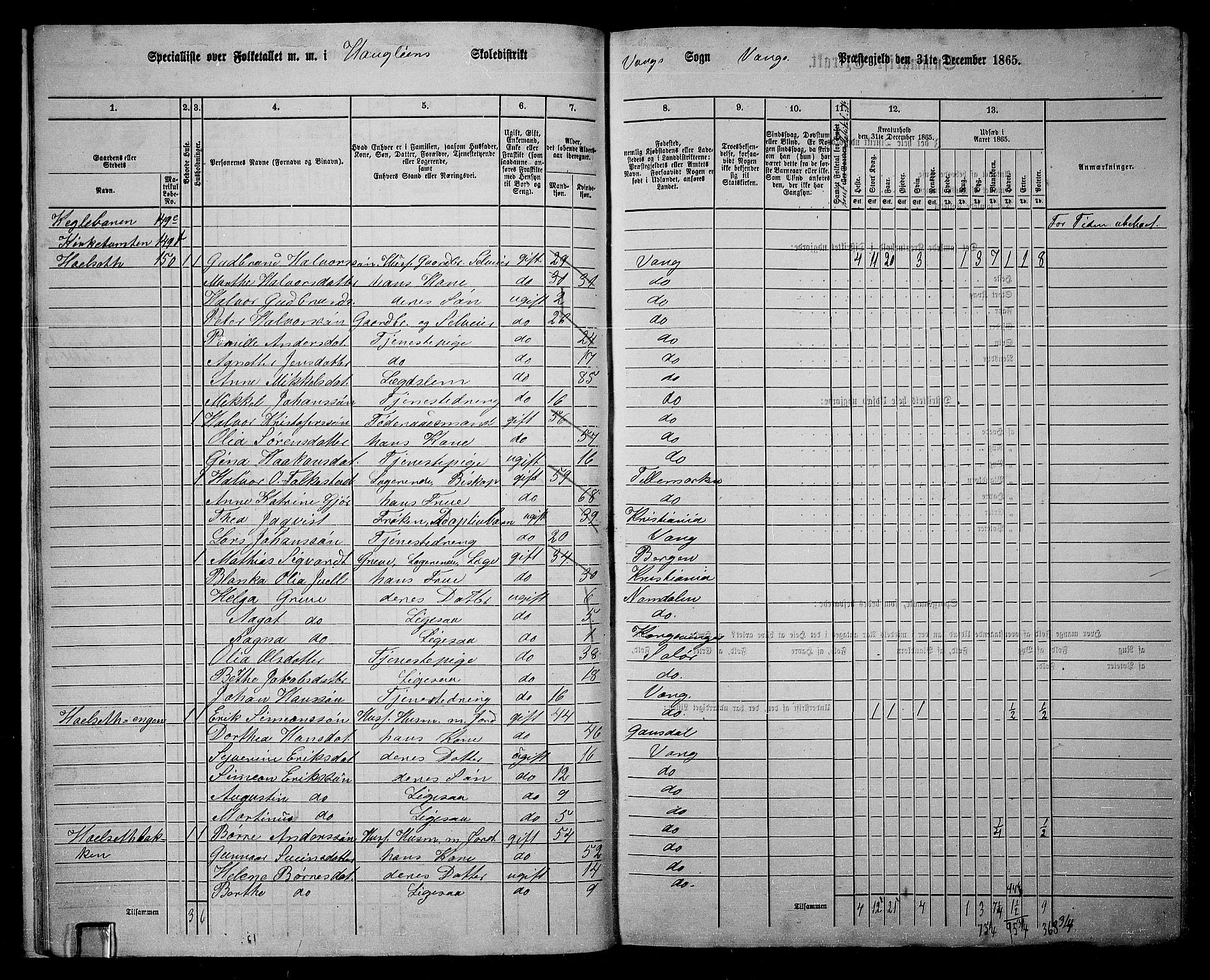 RA, 1865 census for Vang/Vang og Furnes, 1865, p. 162