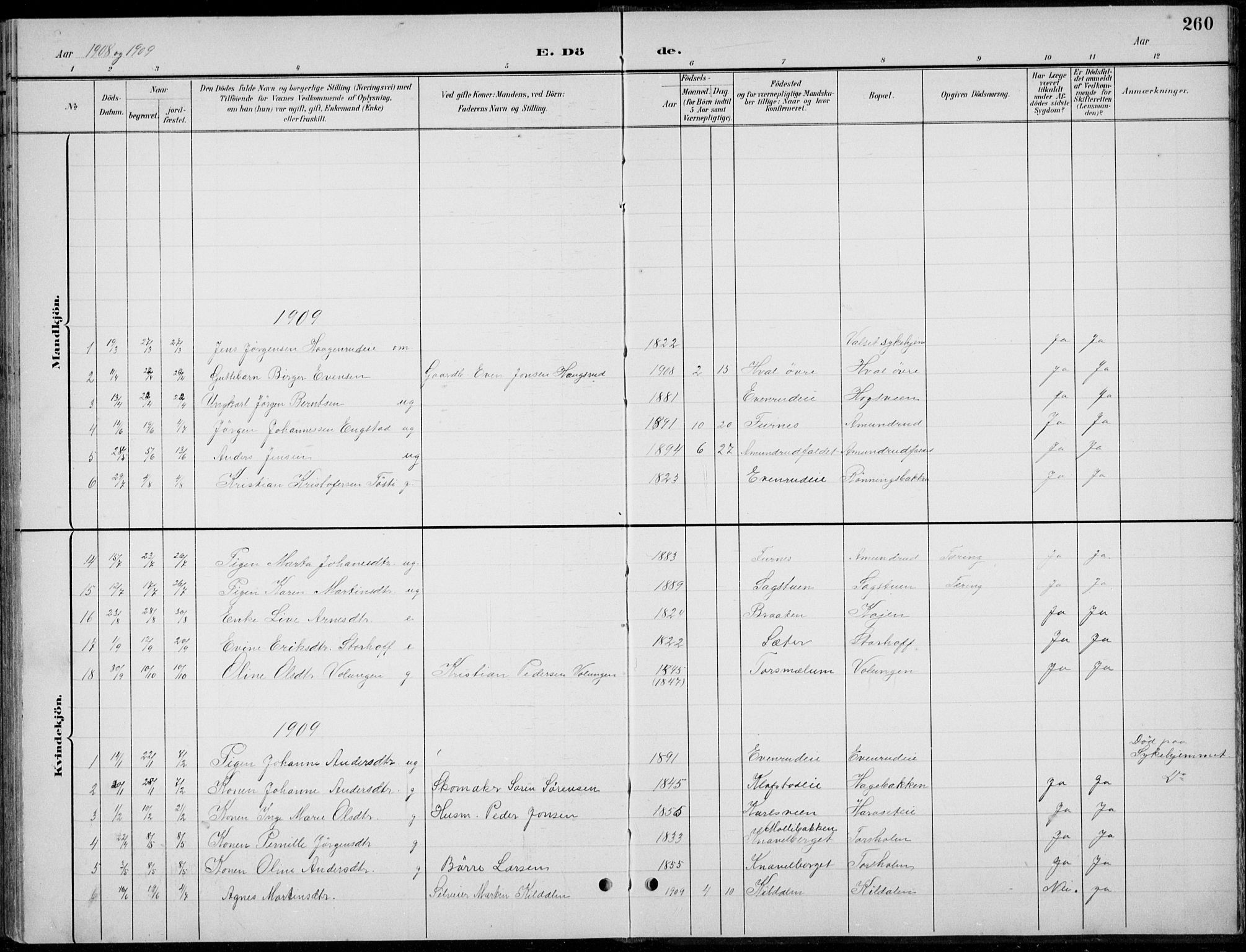 Romedal prestekontor, AV/SAH-PREST-004/L/L0013: Parish register (copy) no. 13, 1896-1937, p. 260