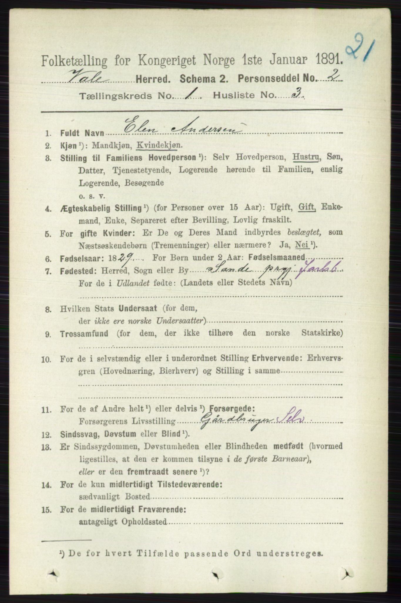 RA, 1891 census for 0716 Våle, 1891, p. 100