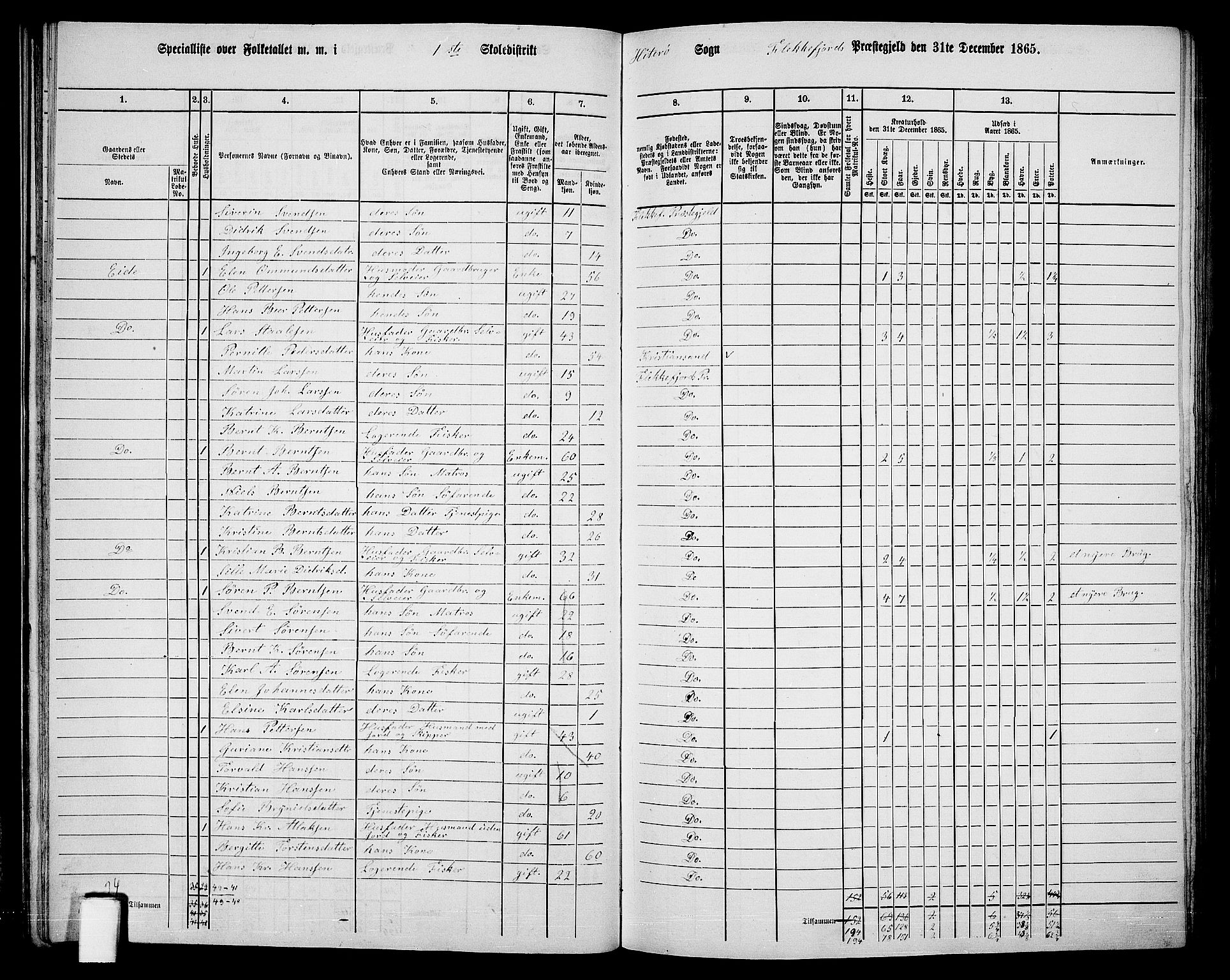 RA, 1865 census for Flekkefjord/Nes og Hidra, 1865, p. 35