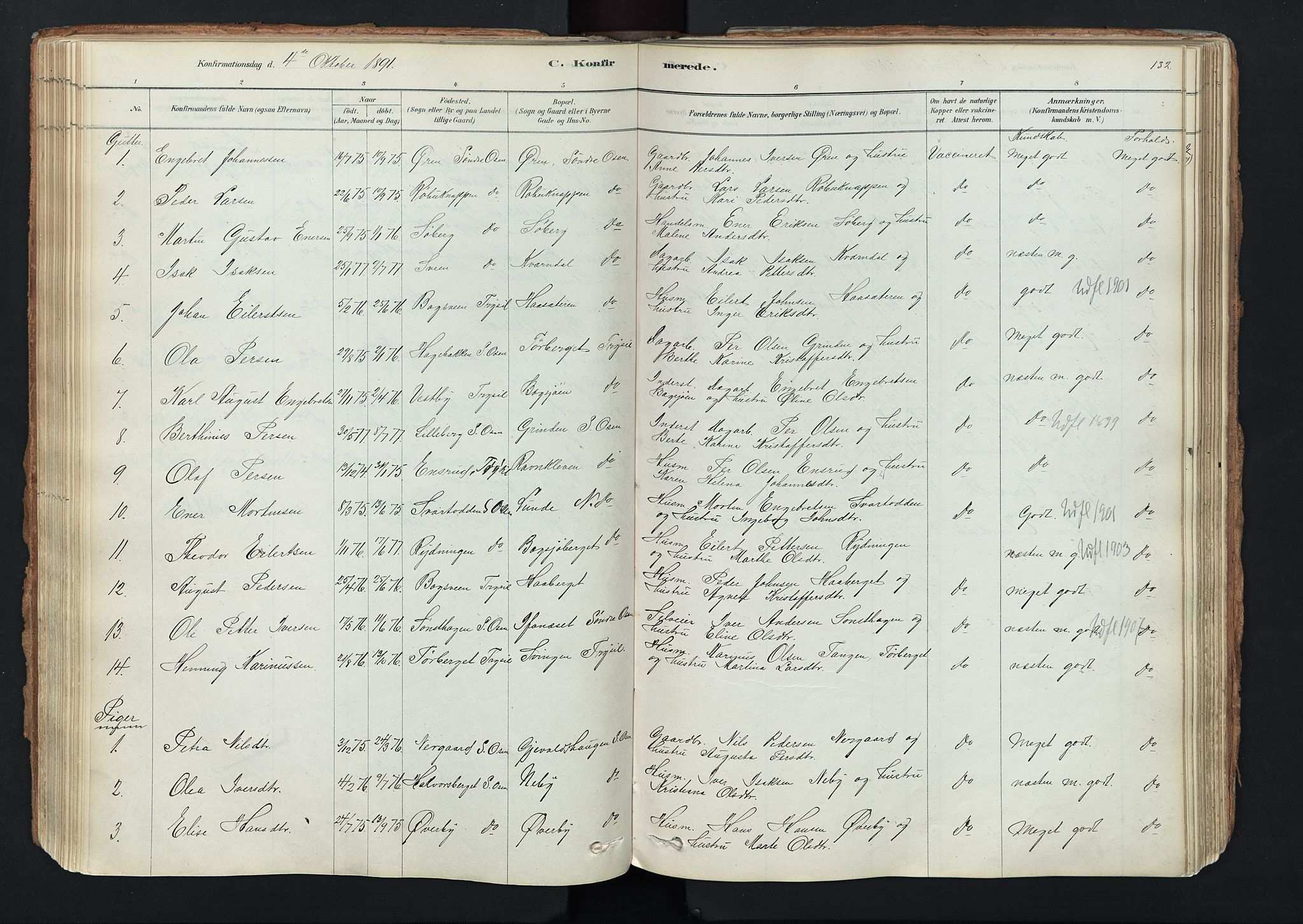 Trysil prestekontor, SAH/PREST-046/H/Ha/Haa/L0011: Parish register (official) no. 11, 1878-1912, p. 132