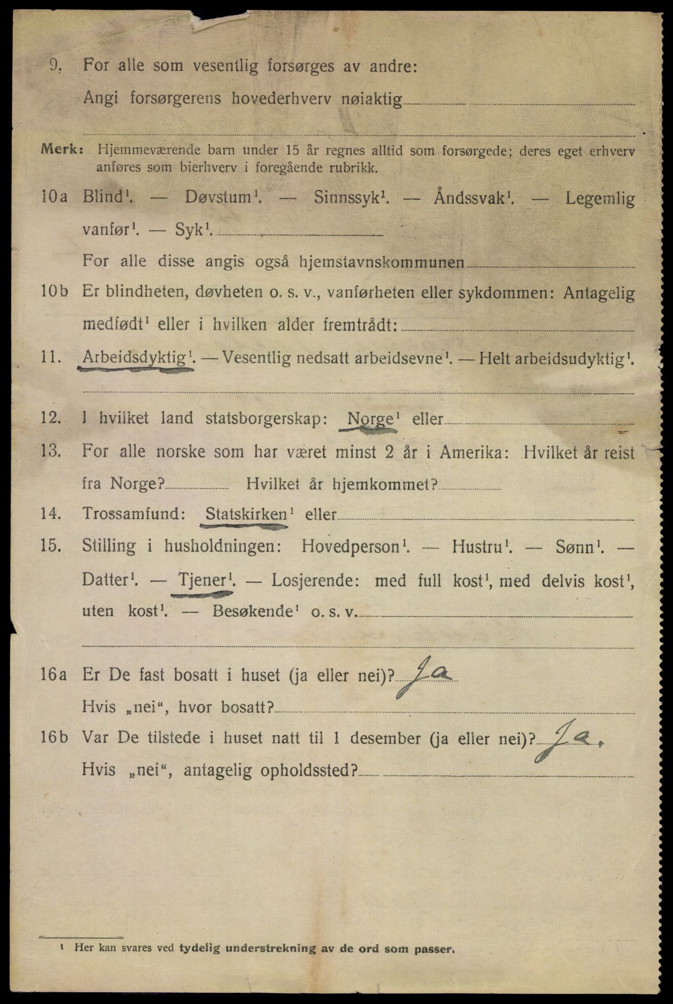 SAKO, 1920 census for Kragerø, 1920, p. 11100