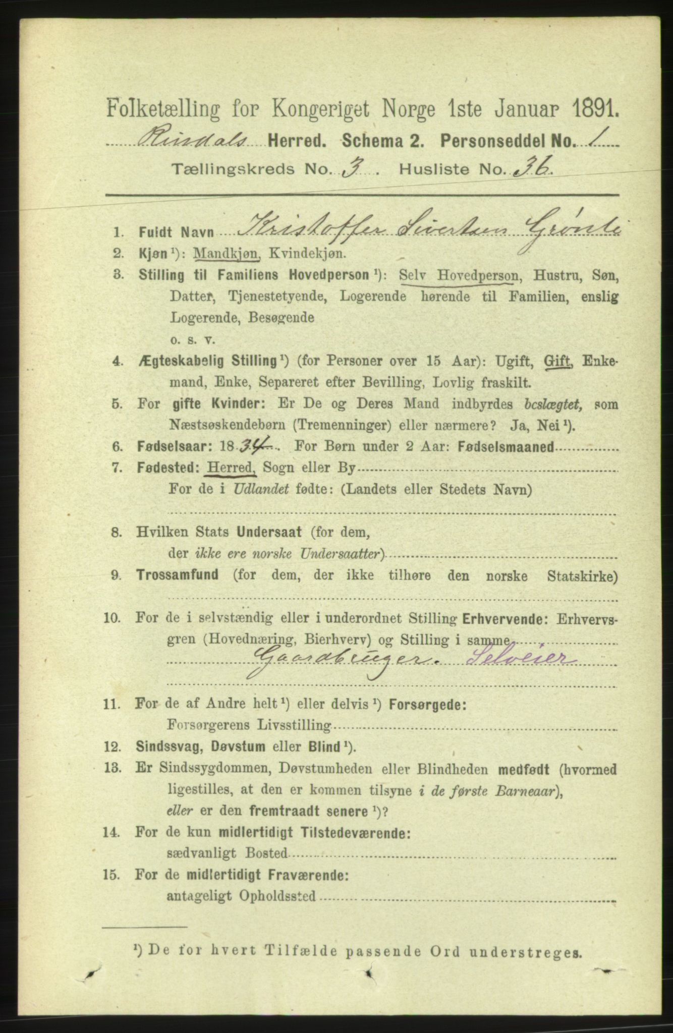 RA, 1891 census for 1567 Rindal, 1891, p. 923