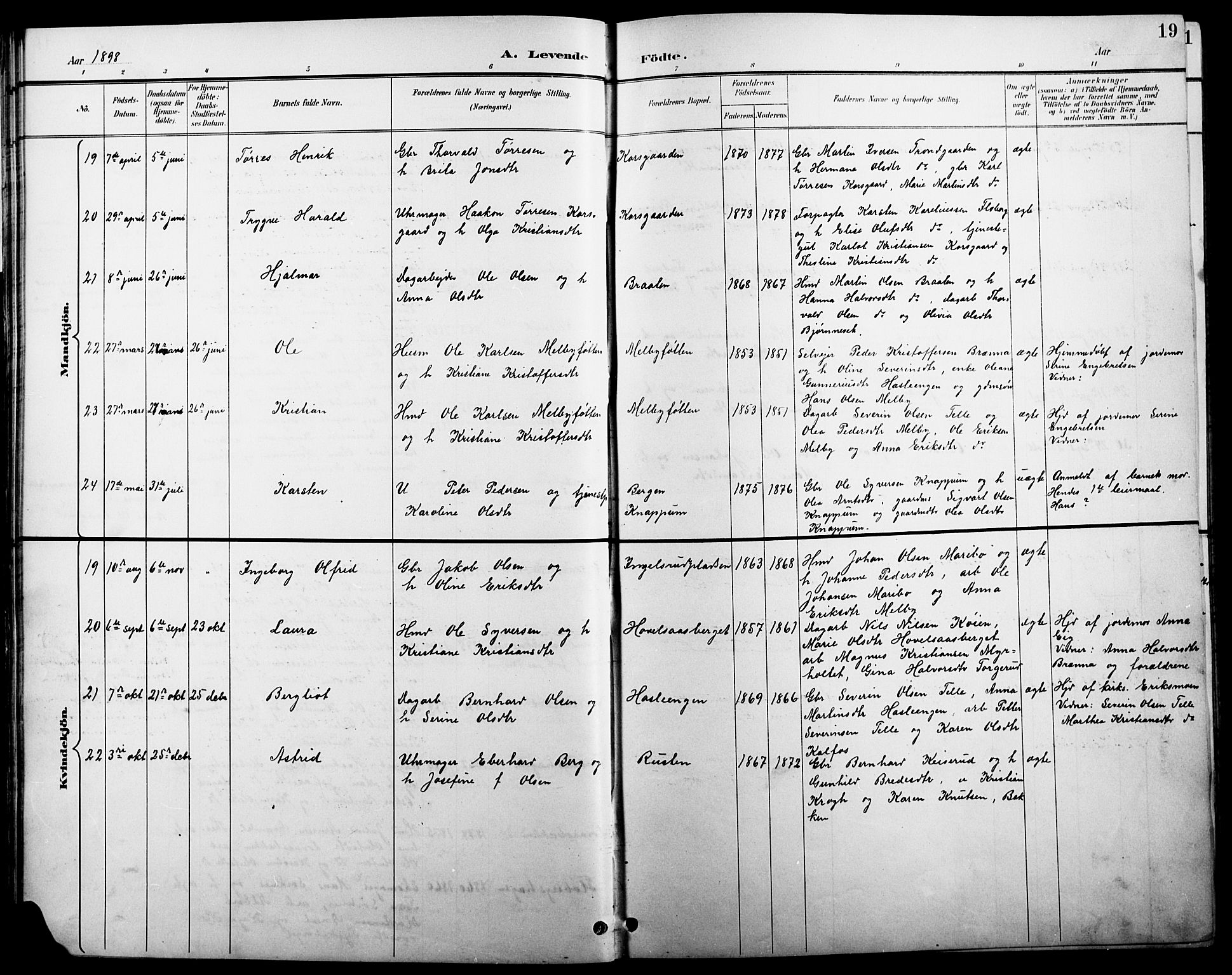 Åsnes prestekontor, AV/SAH-PREST-042/H/Ha/Hab/L0004: Parish register (copy) no. 4, 1895-1909, p. 19