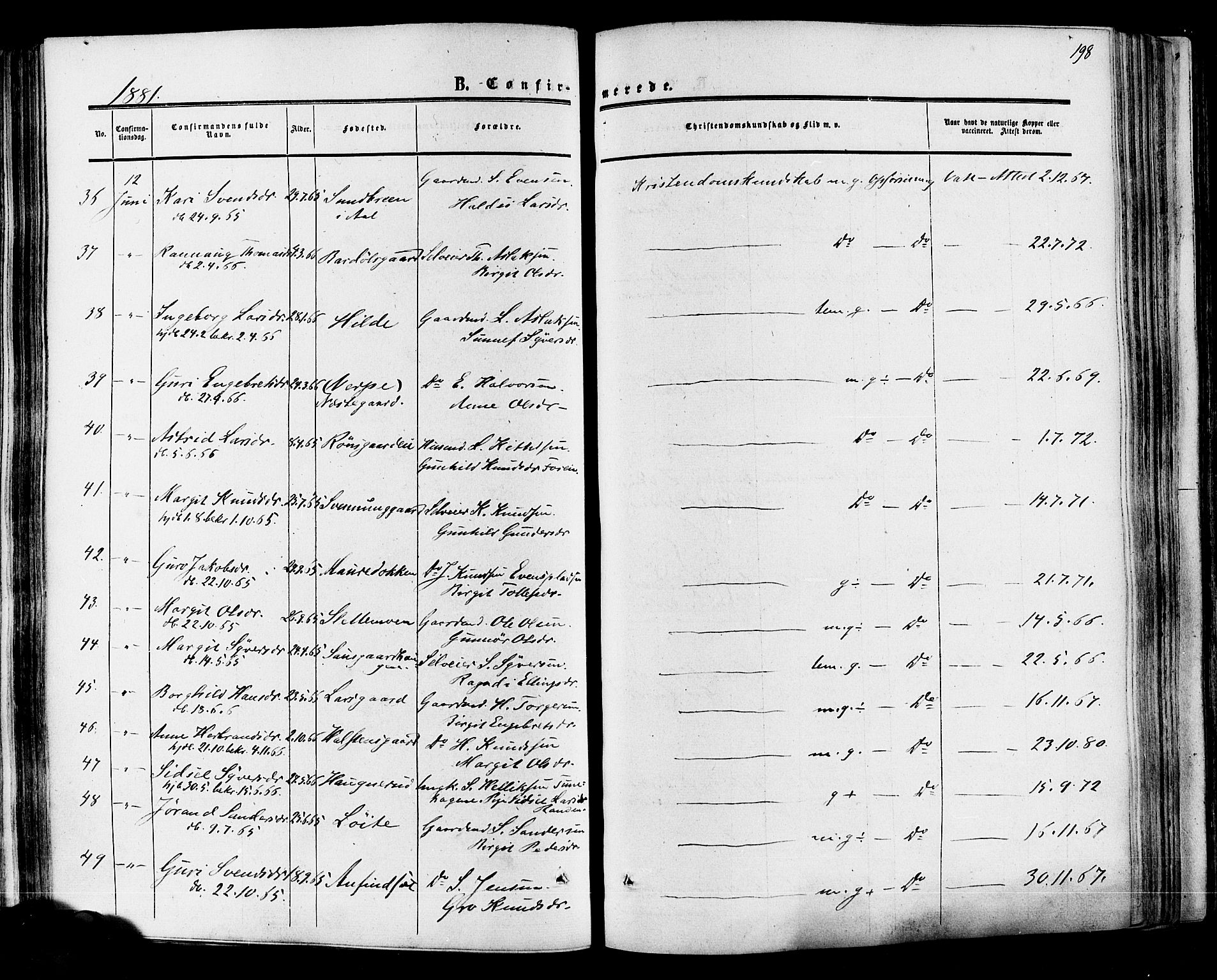 Hol kirkebøker, SAKO/A-227/F/Fa/L0002: Parish register (official) no. I 2, 1870-1886, p. 198