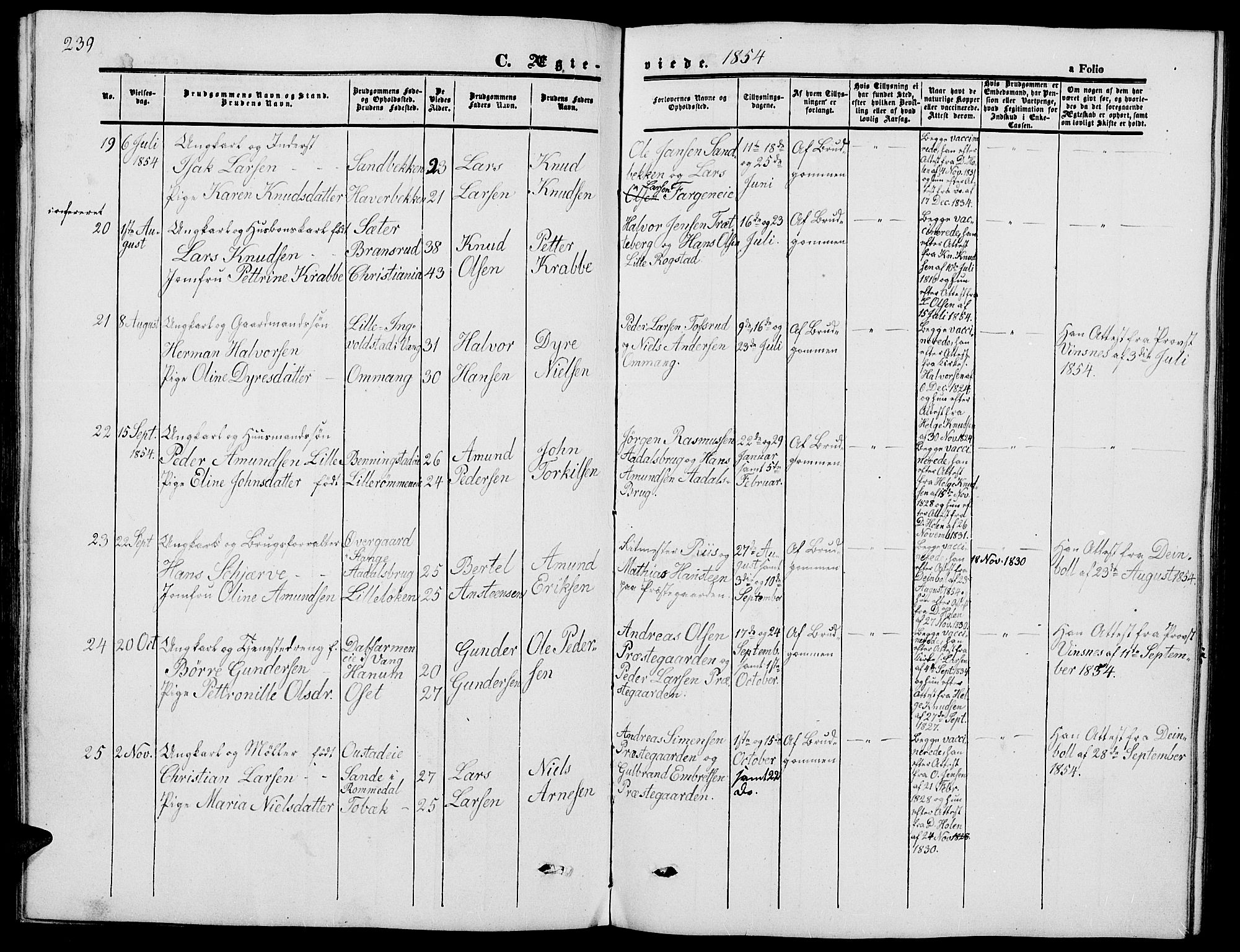 Løten prestekontor, AV/SAH-PREST-022/L/La/L0003: Parish register (copy) no. 3, 1850-1862, p. 239