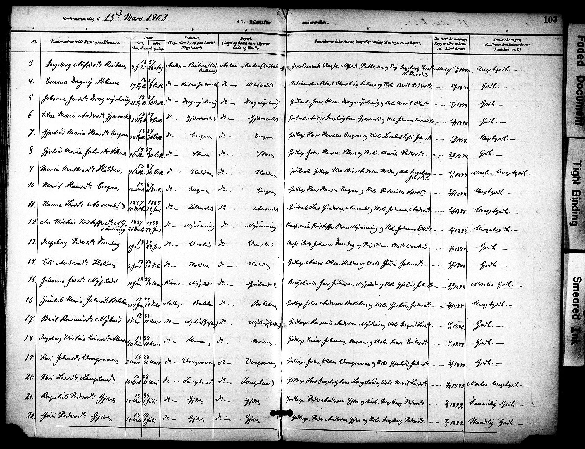 Ministerialprotokoller, klokkerbøker og fødselsregistre - Sør-Trøndelag, SAT/A-1456/686/L0984: Parish register (official) no. 686A02, 1891-1906, p. 103