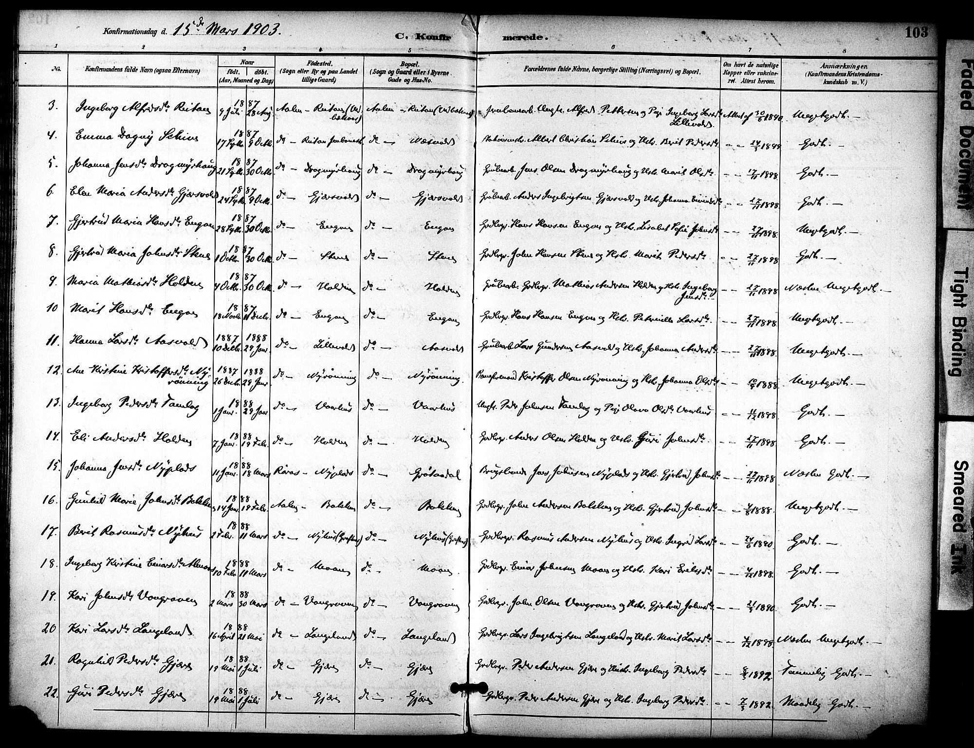 Ministerialprotokoller, klokkerbøker og fødselsregistre - Sør-Trøndelag, AV/SAT-A-1456/686/L0984: Parish register (official) no. 686A02, 1891-1906, p. 103