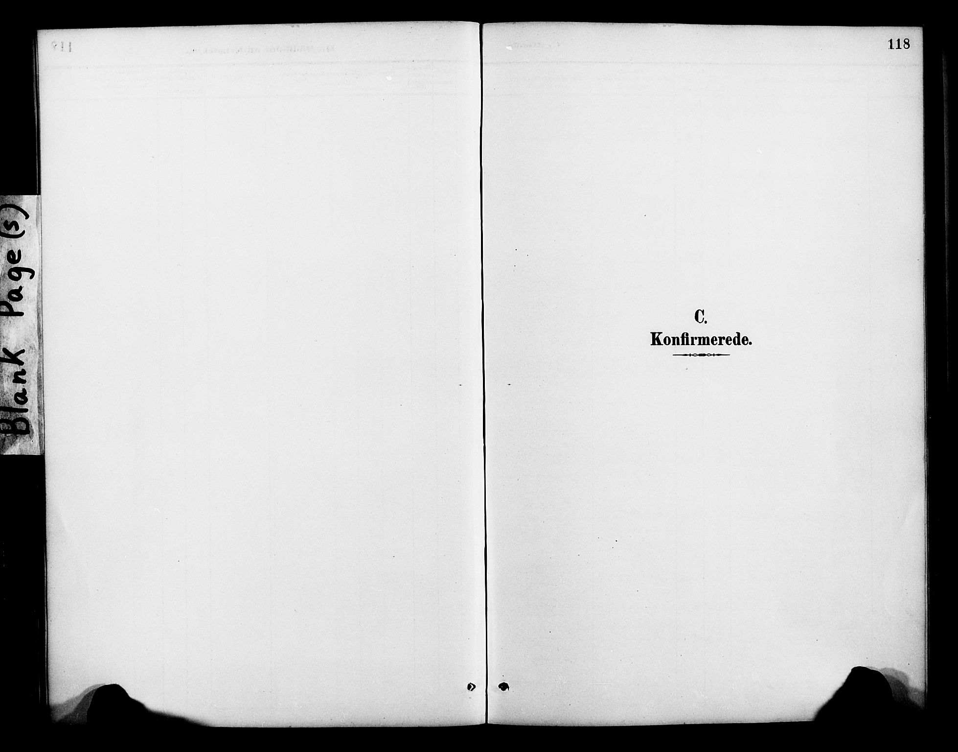 Lenvik sokneprestembete, AV/SATØ-S-1310/H/Ha/Haa/L0013kirke: Parish register (official) no. 13, 1890-1898, p. 118