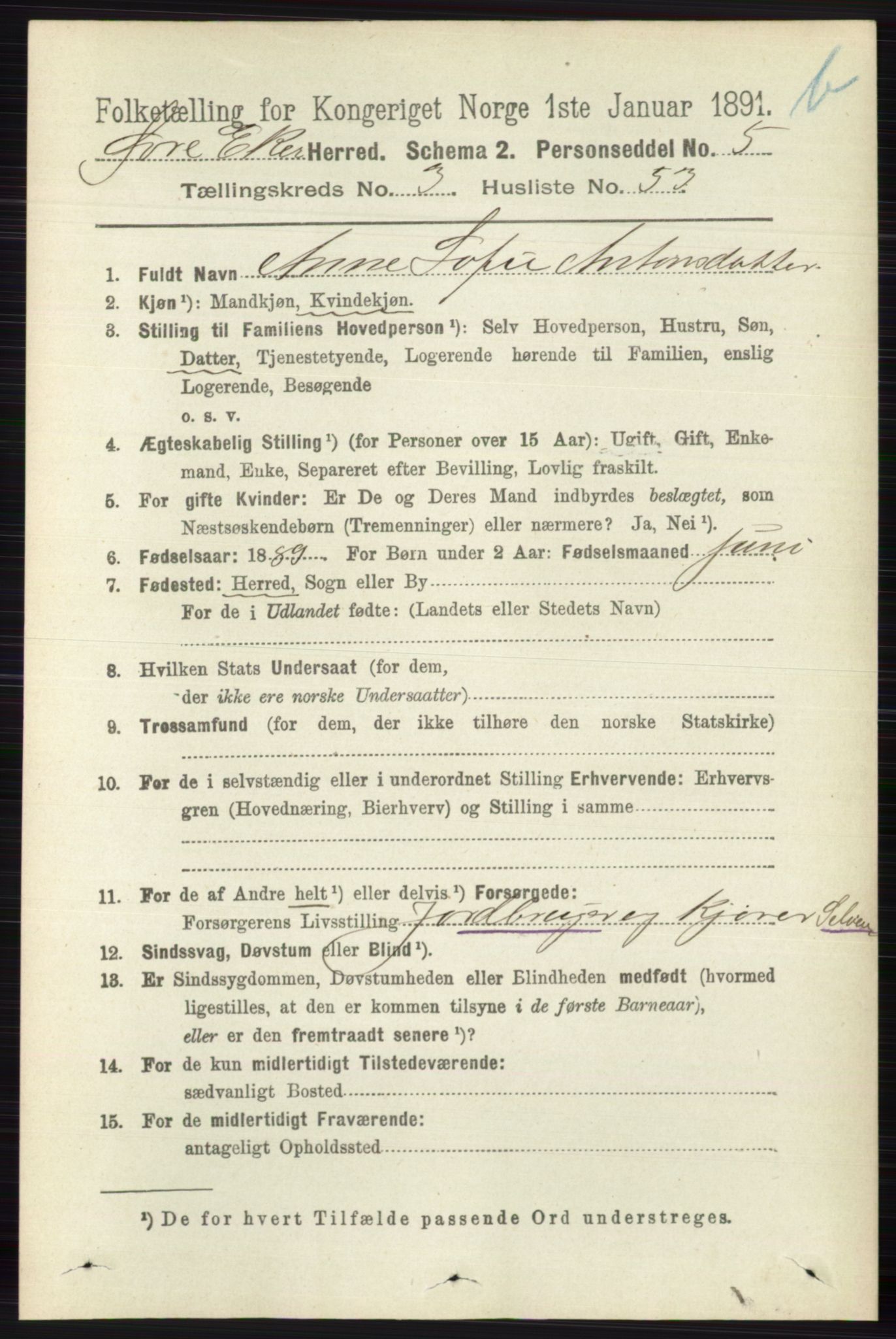 RA, 1891 census for 0624 Øvre Eiker, 1891, p. 9314