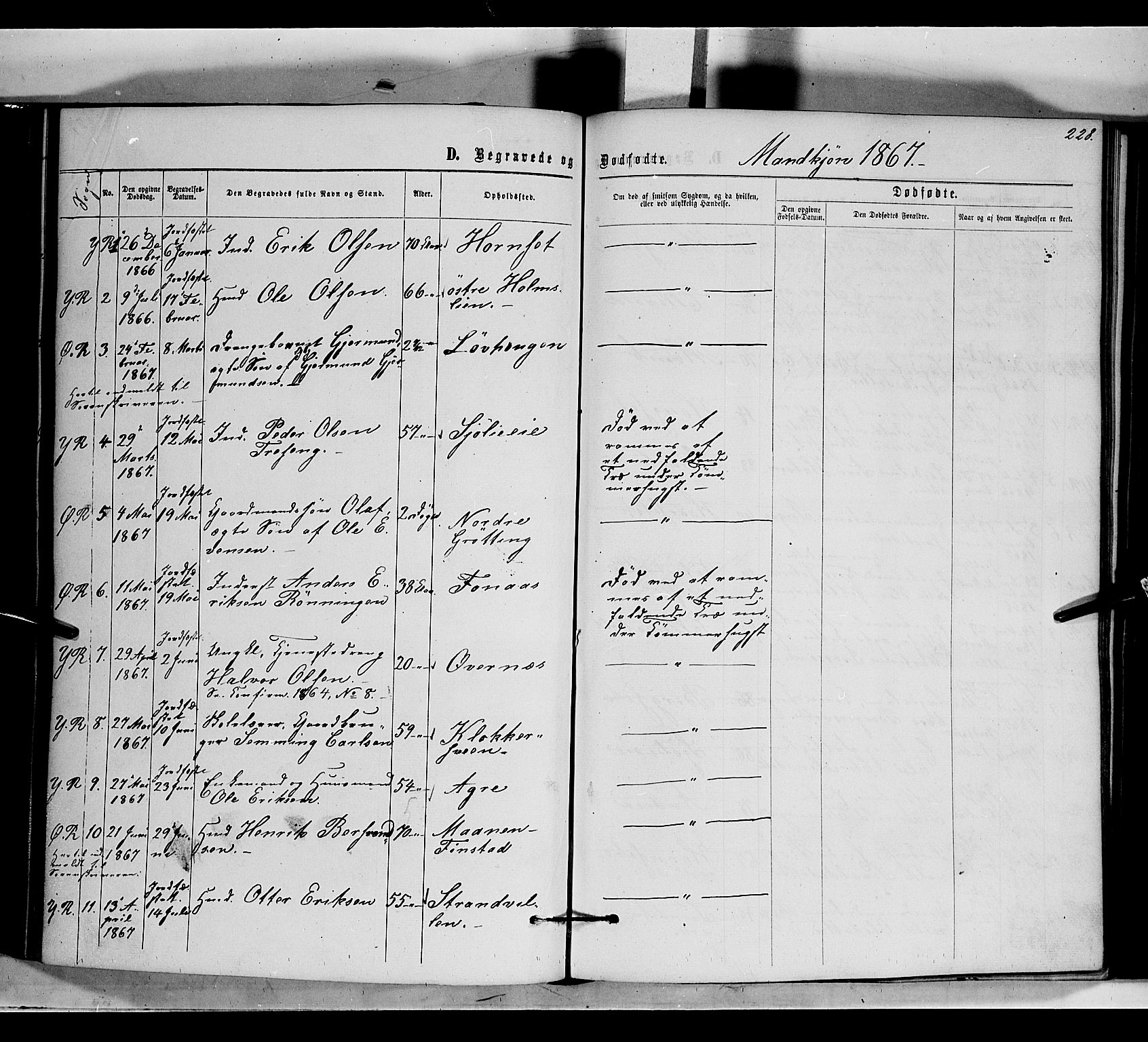 Rendalen prestekontor, SAH/PREST-054/H/Ha/Haa/L0006: Parish register (official) no. 6, 1867-1877, p. 228