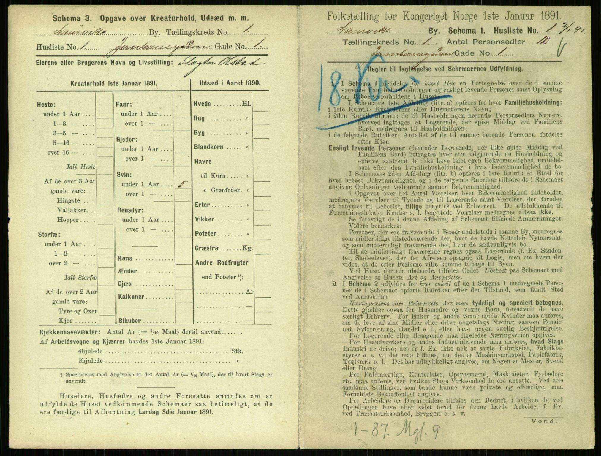 RA, 1891 census for 0707 Larvik, 1891, p. 45