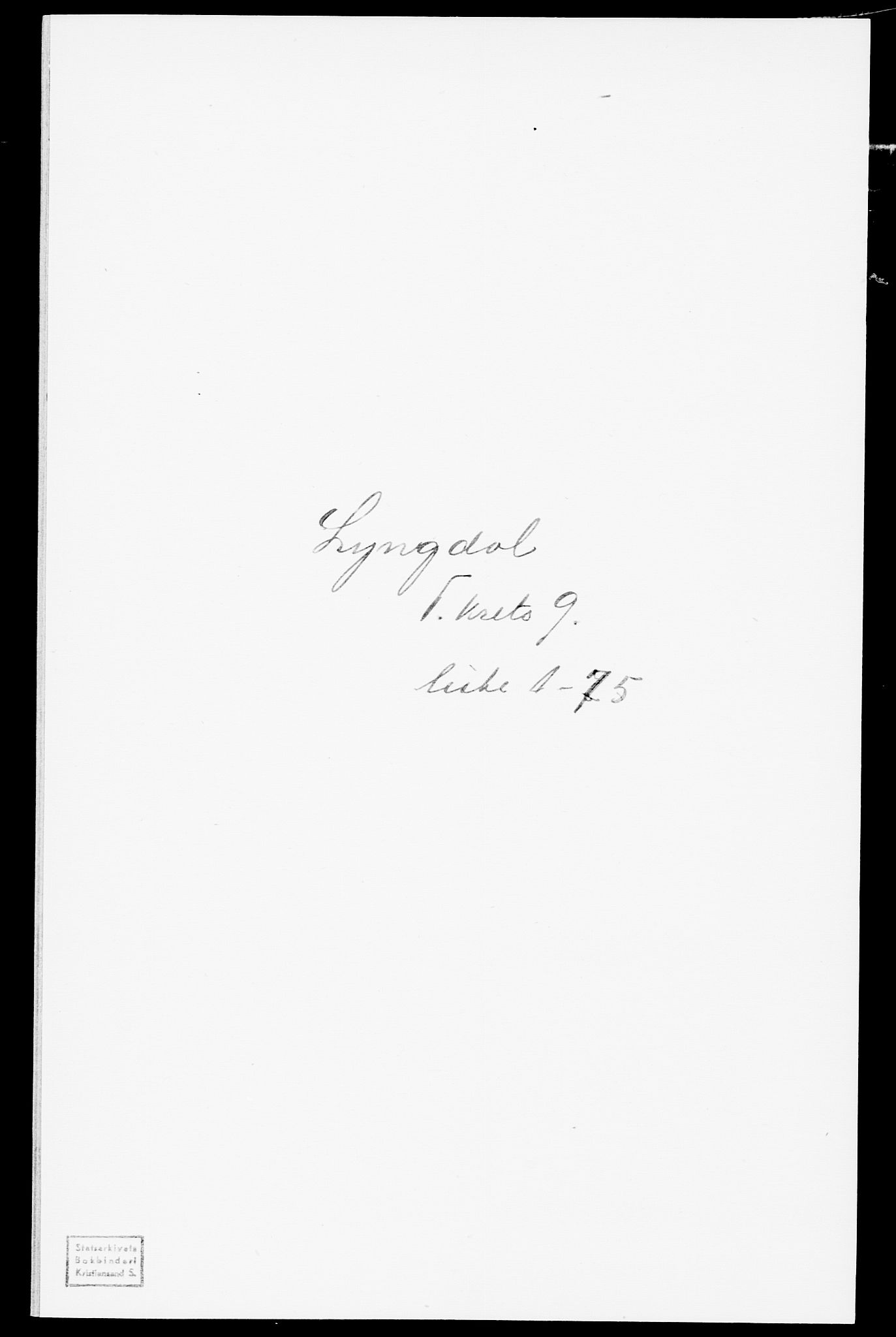 SAK, 1875 census for 1032P Lyngdal, 1875, p. 1357