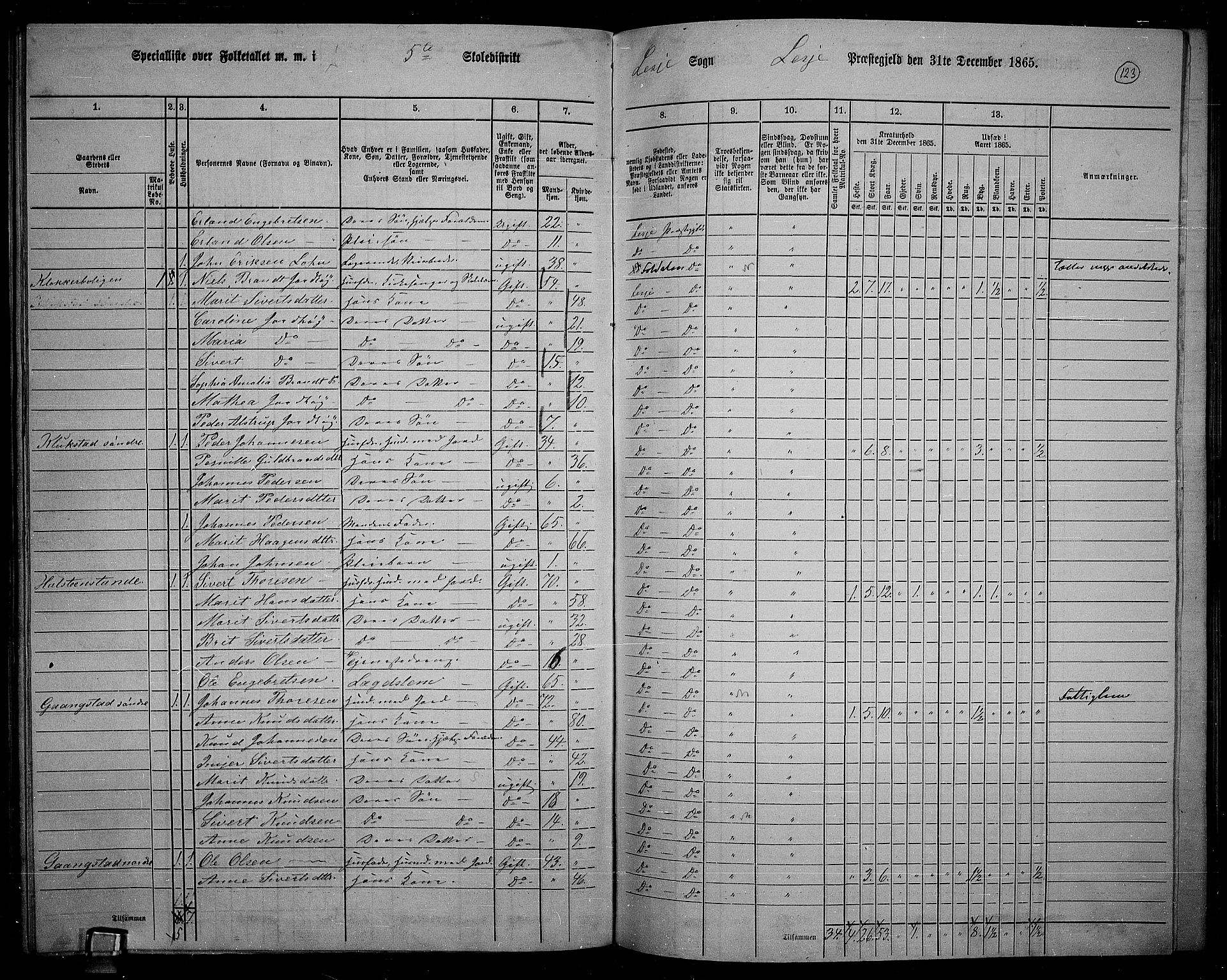 RA, 1865 census for Lesja, 1865, p. 110