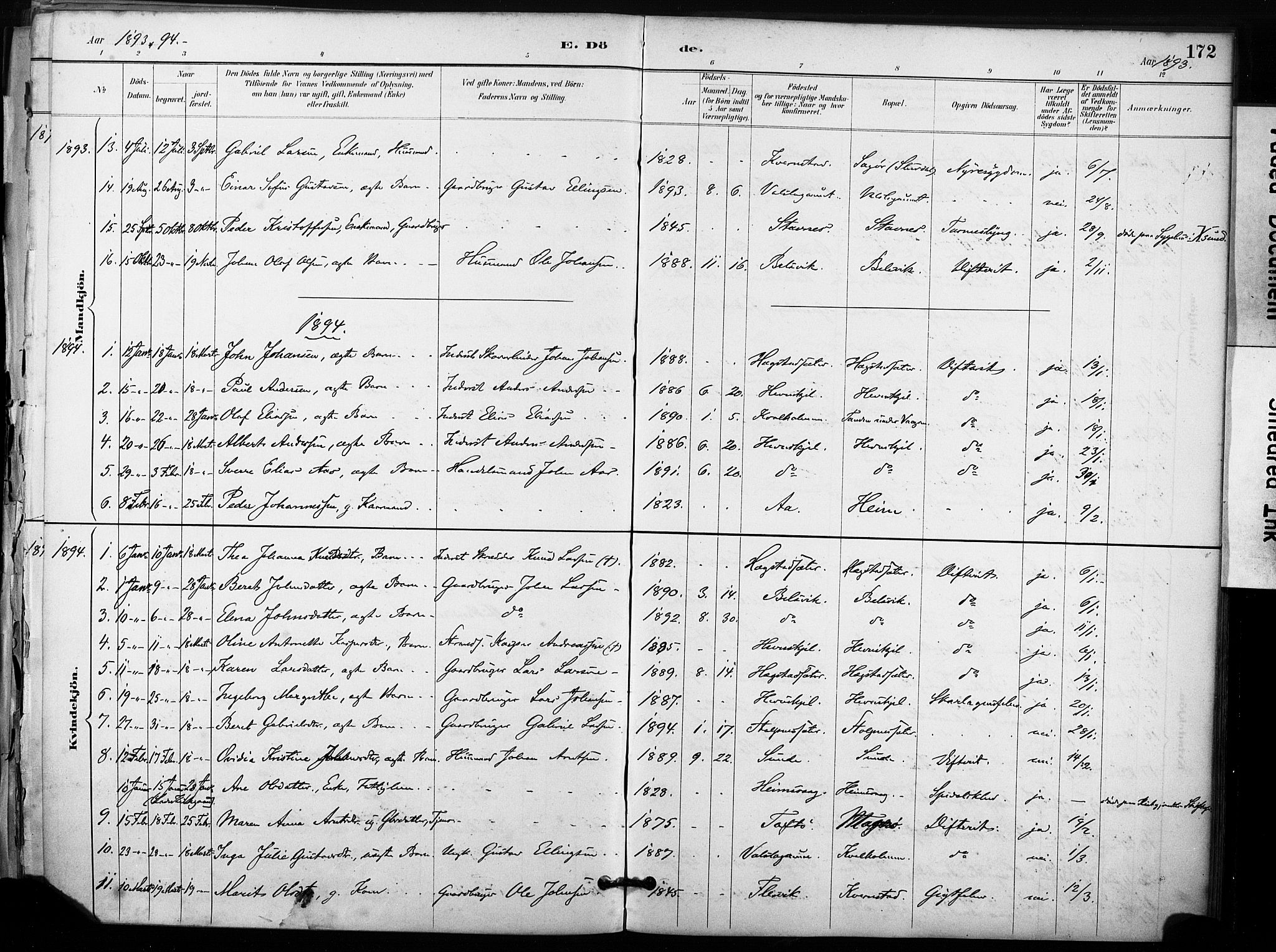 Ministerialprotokoller, klokkerbøker og fødselsregistre - Sør-Trøndelag, AV/SAT-A-1456/633/L0518: Parish register (official) no. 633A01, 1884-1906, p. 172