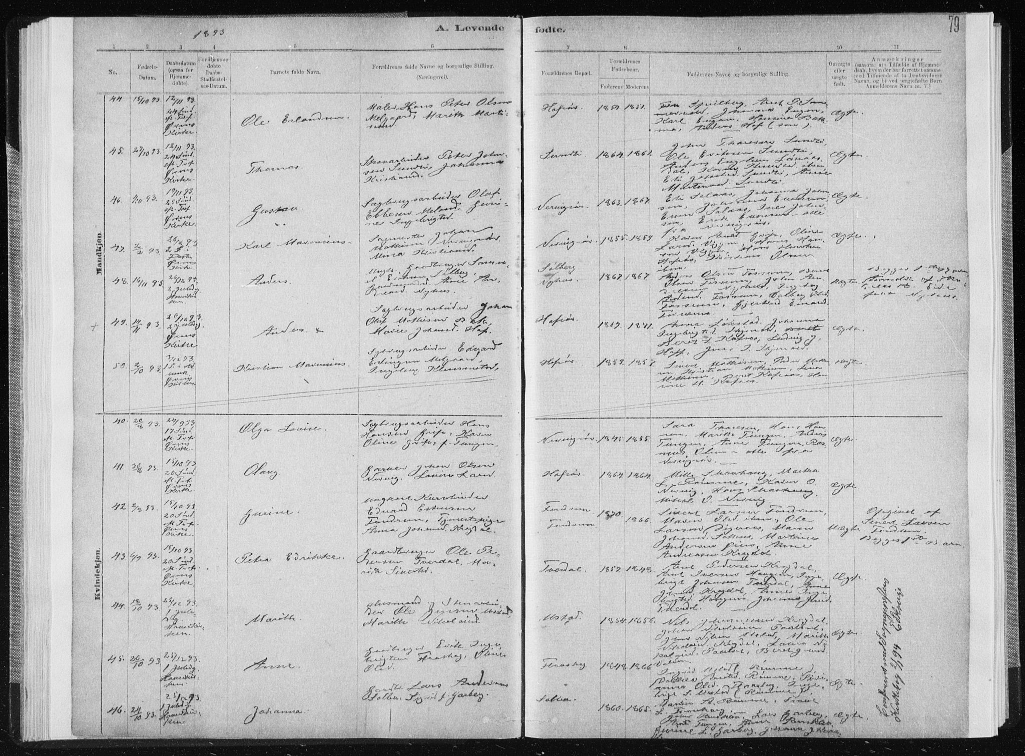 Ministerialprotokoller, klokkerbøker og fødselsregistre - Sør-Trøndelag, SAT/A-1456/668/L0818: Parish register (copy) no. 668C07, 1885-1898, p. 79