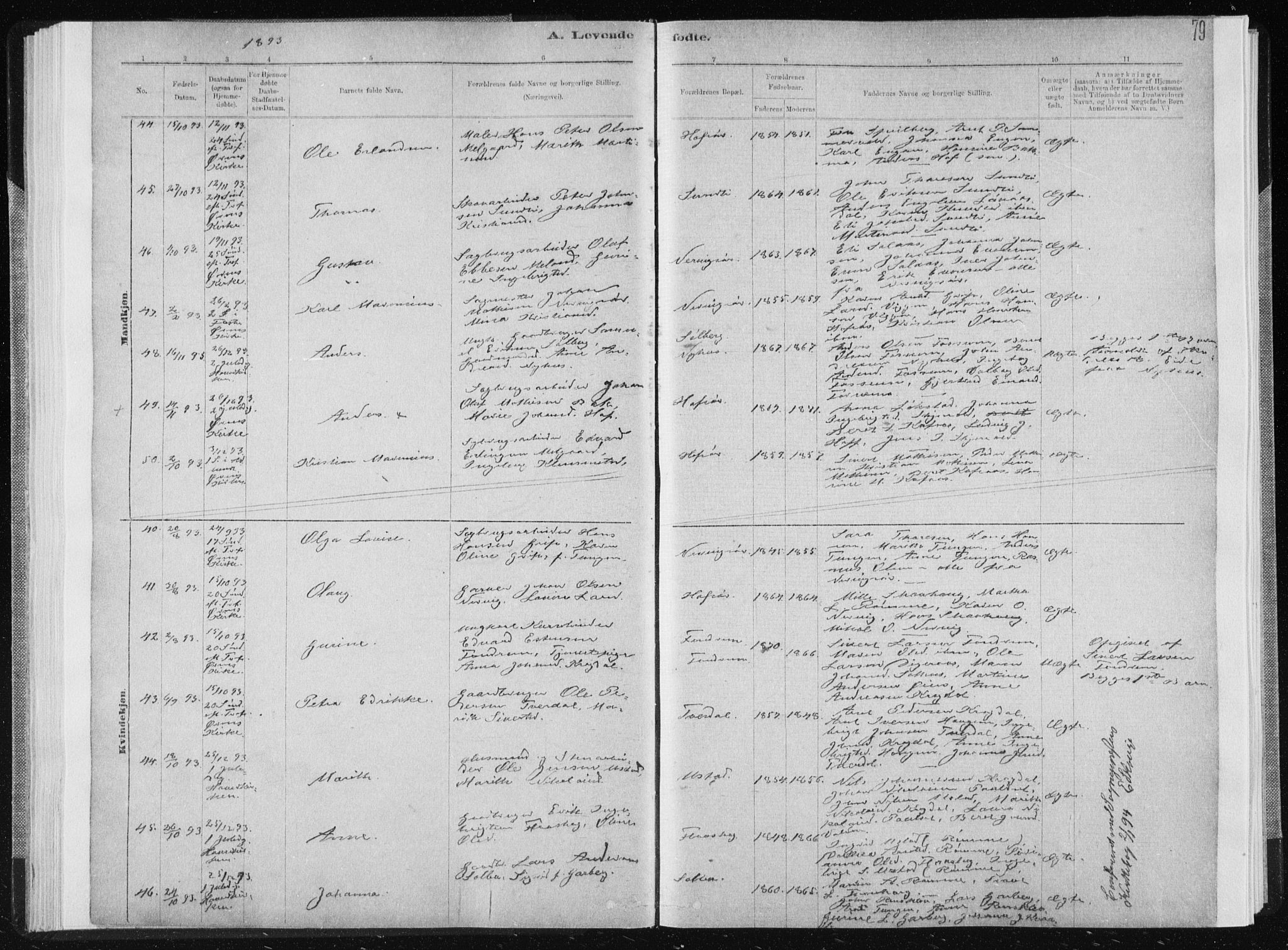 Ministerialprotokoller, klokkerbøker og fødselsregistre - Sør-Trøndelag, AV/SAT-A-1456/668/L0818: Parish register (copy) no. 668C07, 1885-1898, p. 79